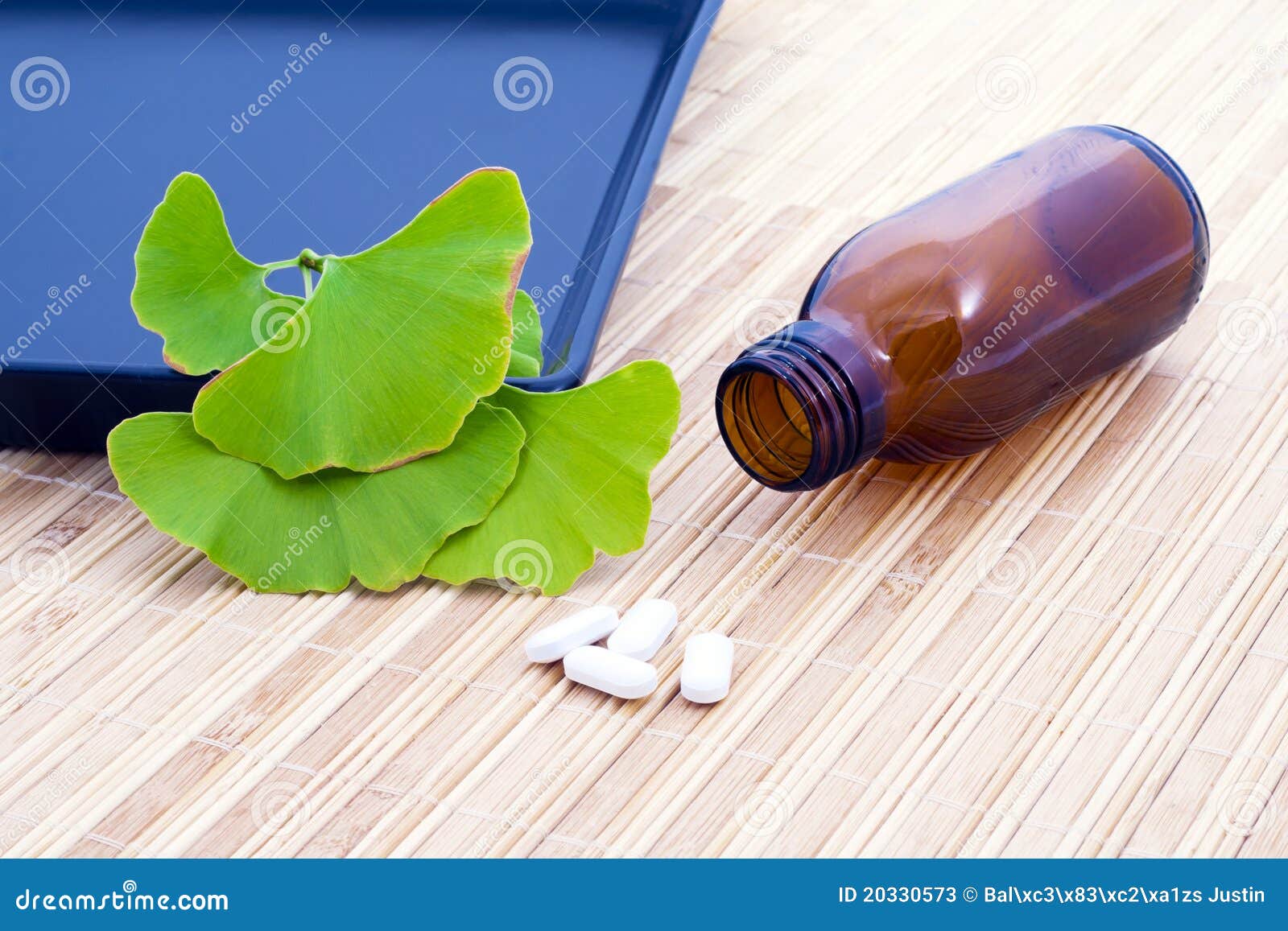 Ginkgo Biloba Tree Spirit and the Medicine. Stock Image - Image of ...