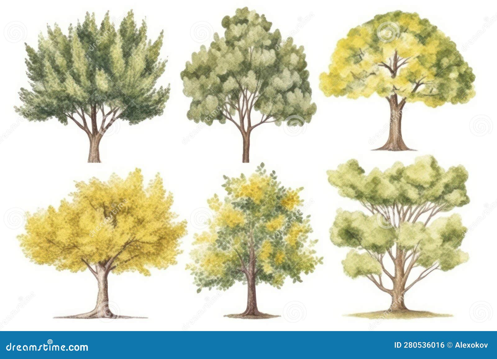 ginkgo tree forest collection: hand-drawn watercolor set perfect for nature-themed s .