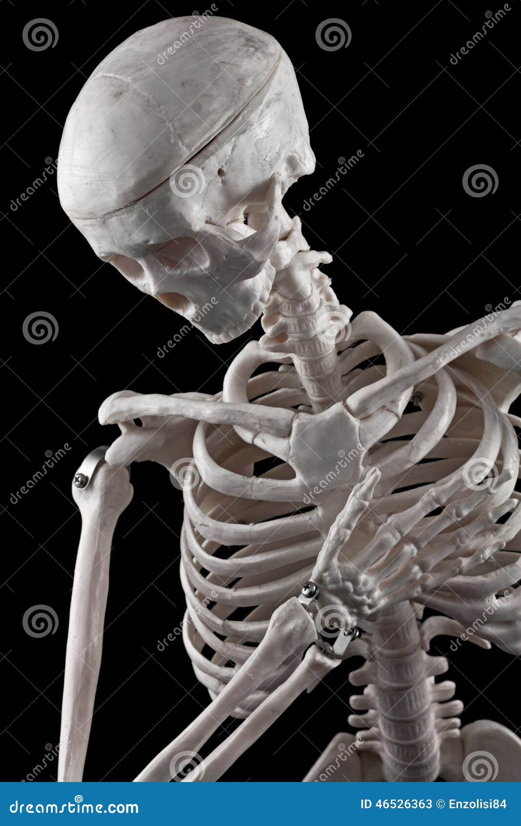 scheletro giocattolo