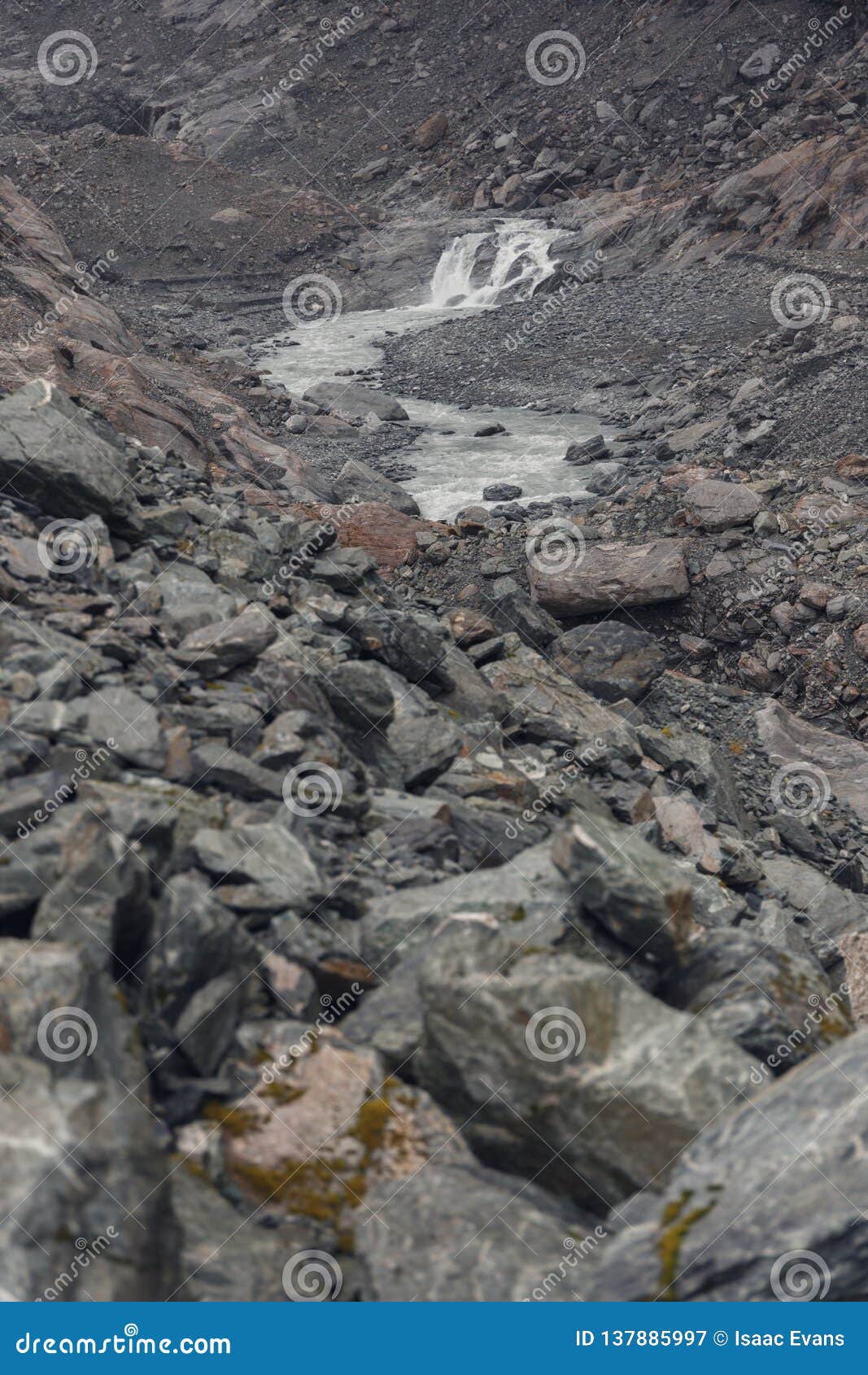 Giorno nebbioso nelle montagne vicino a Franz Josef Glacier nell'isola del sud di NZ