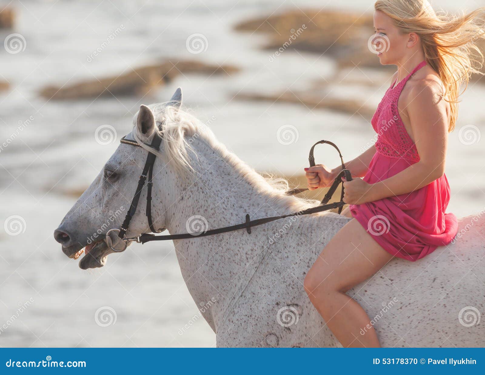 Mulher Com Pau De Cavalo Giovane Donna Che Monta Un Cavallo Fotografia Stock - Immagine di