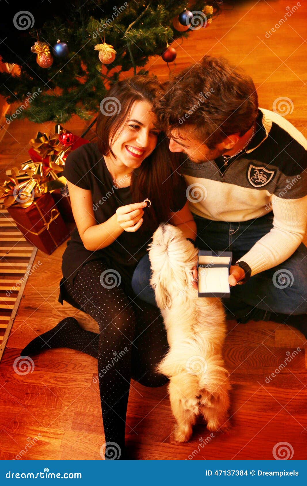 Regali Di Natale Romantici.Giovani Coppie Romantiche Sotto L Albero Di Natale A Casa Con I Regali Di Natale Fotografia Stock Immagine Di Regalo Presente 47137384