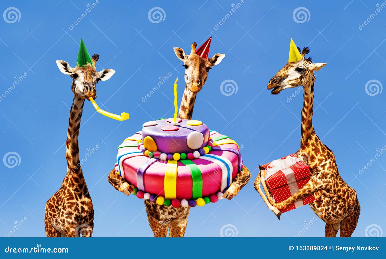 Girafe A La Fete D Anniversaire Avec Gateau Et Cadeau Photo Stock Image Du Cadeau Anniversaire Girafe A La Fete D Anniversaire Avec Gateau Et Cadeau Photo Stock Image Du Cadeau Anniversaire