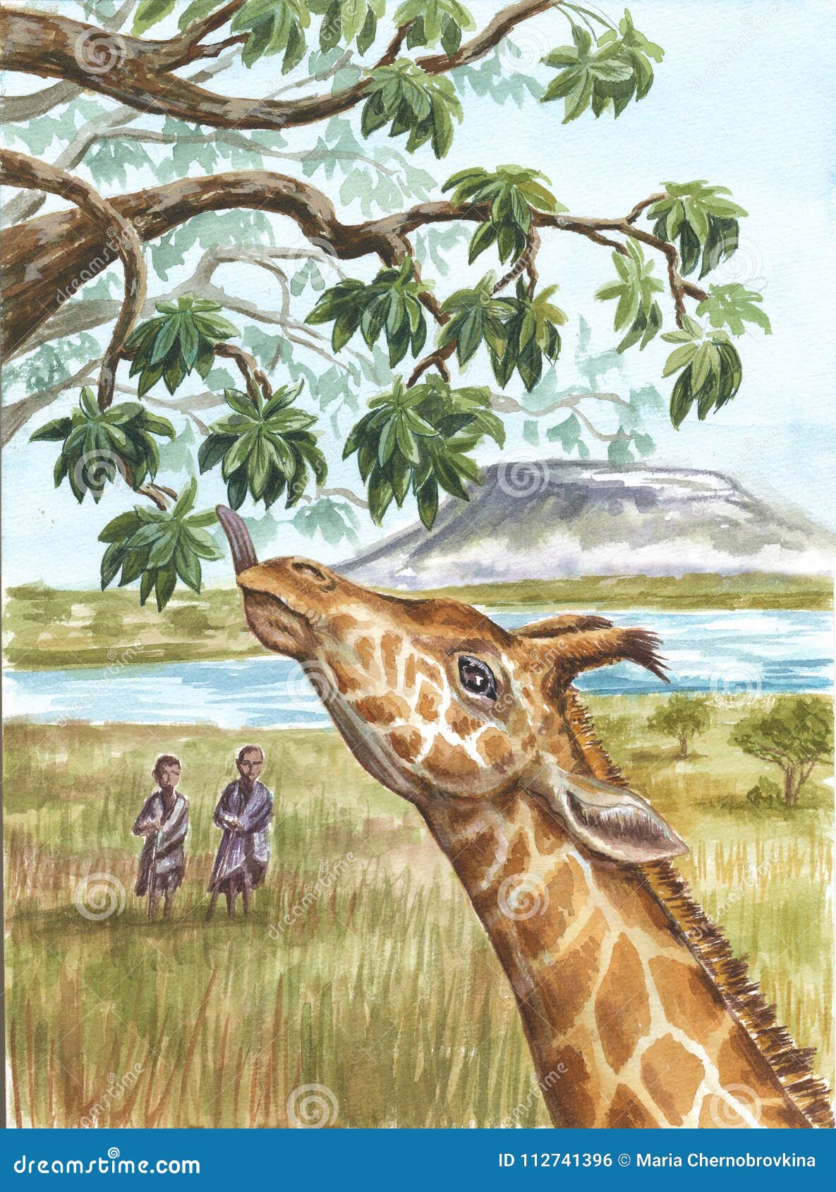 giraffe, aborigines and kilimangaro