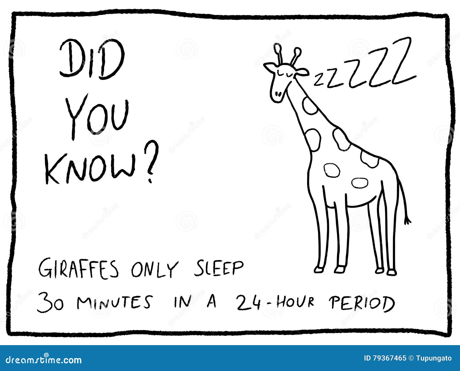 Giraffe Sleep At Night Coloring Page Cartoon Vector | CartoonDealer.com
