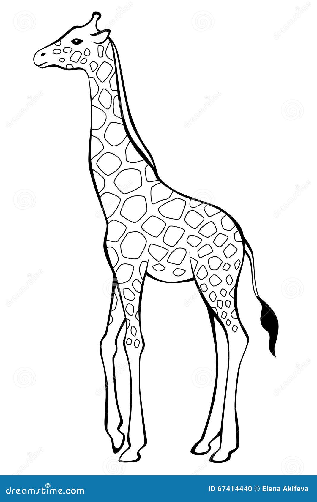 Giraffe черно белые