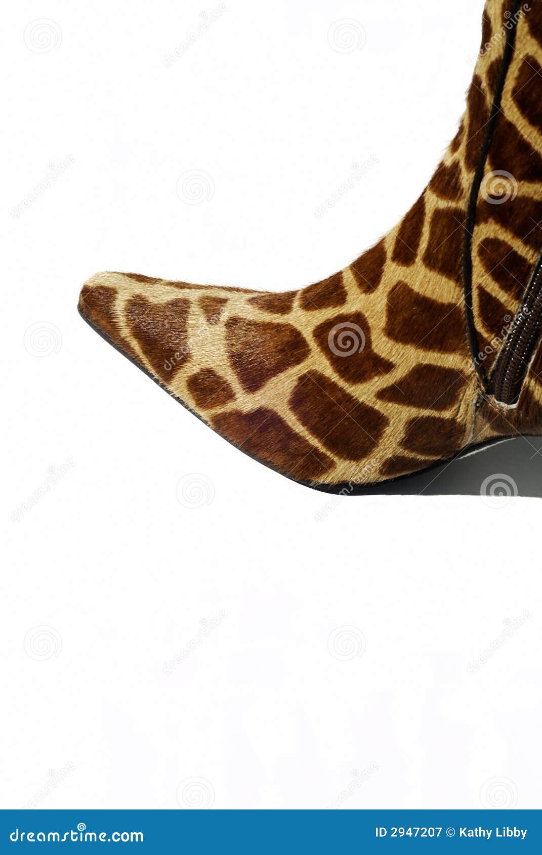 Giraffe Boot stock image. Image of natural, isolated, bristle - 2947207