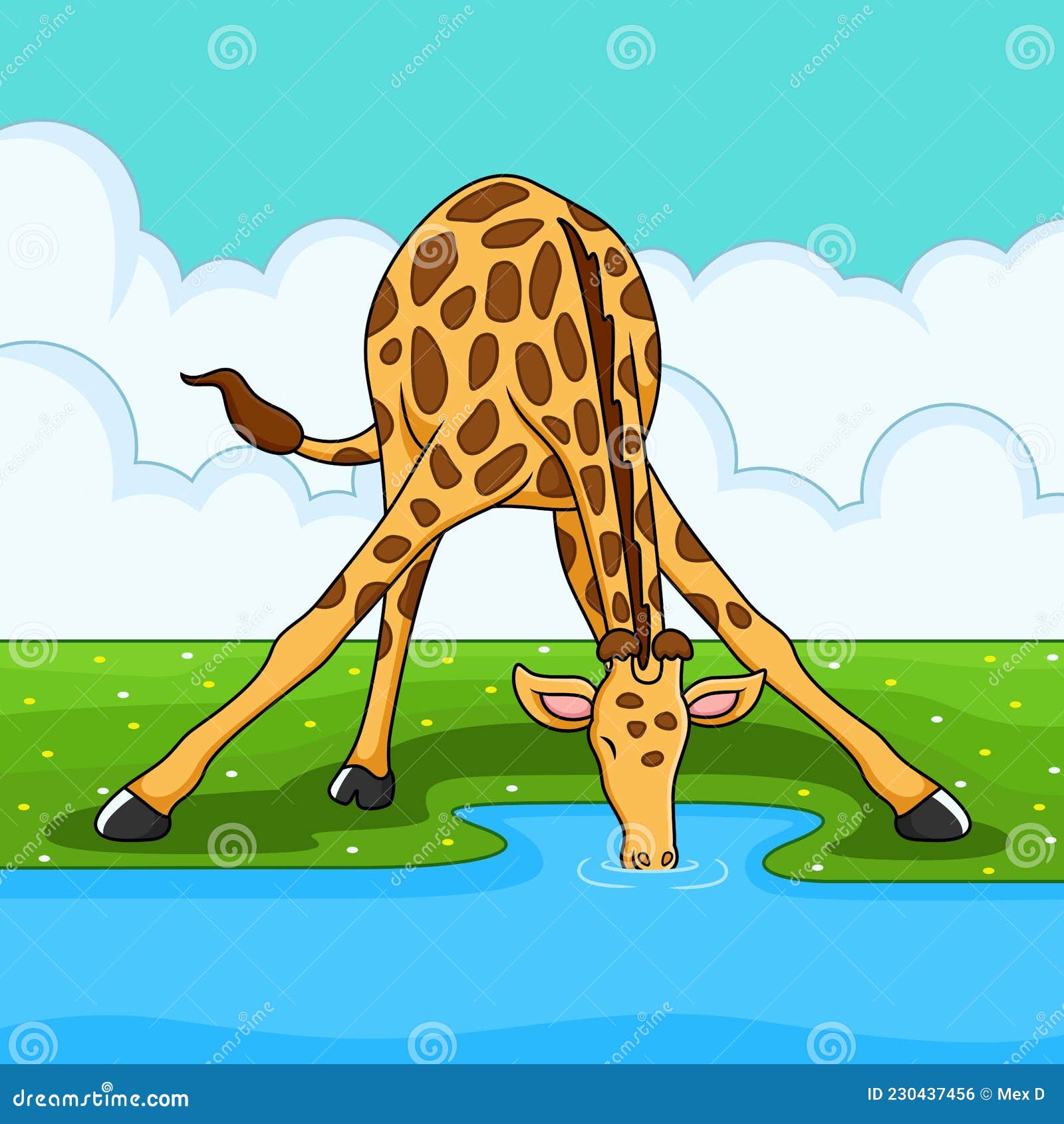 Giraffe Drinking Water from the River Cartoon Stock Vector - Illustration  of outdoor, park: 230437456