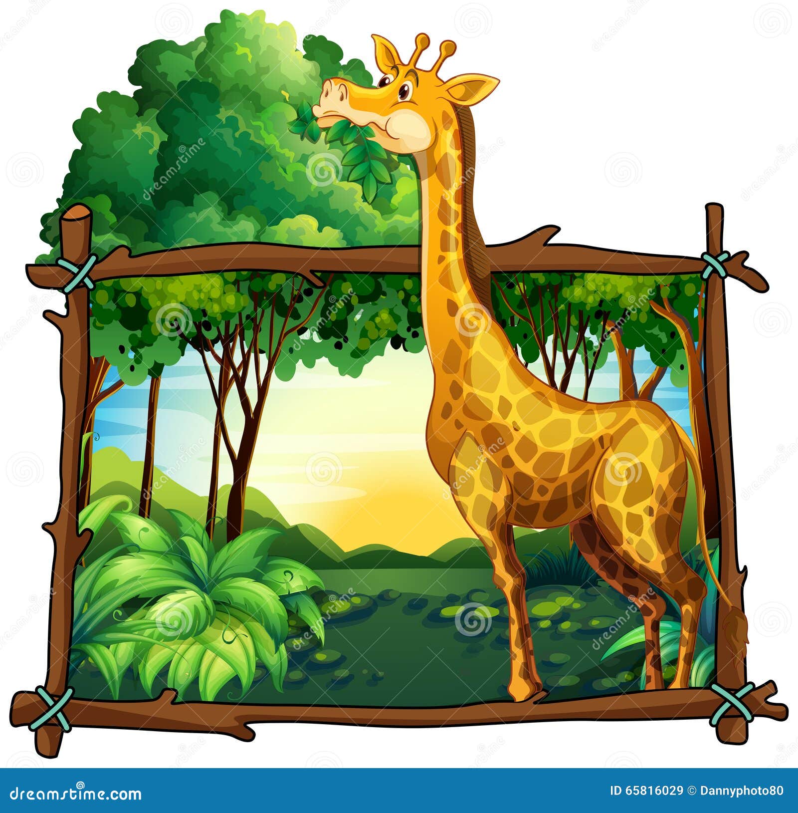 Giraffe Eating Leaves on the Tree Stock Vector Illustration of