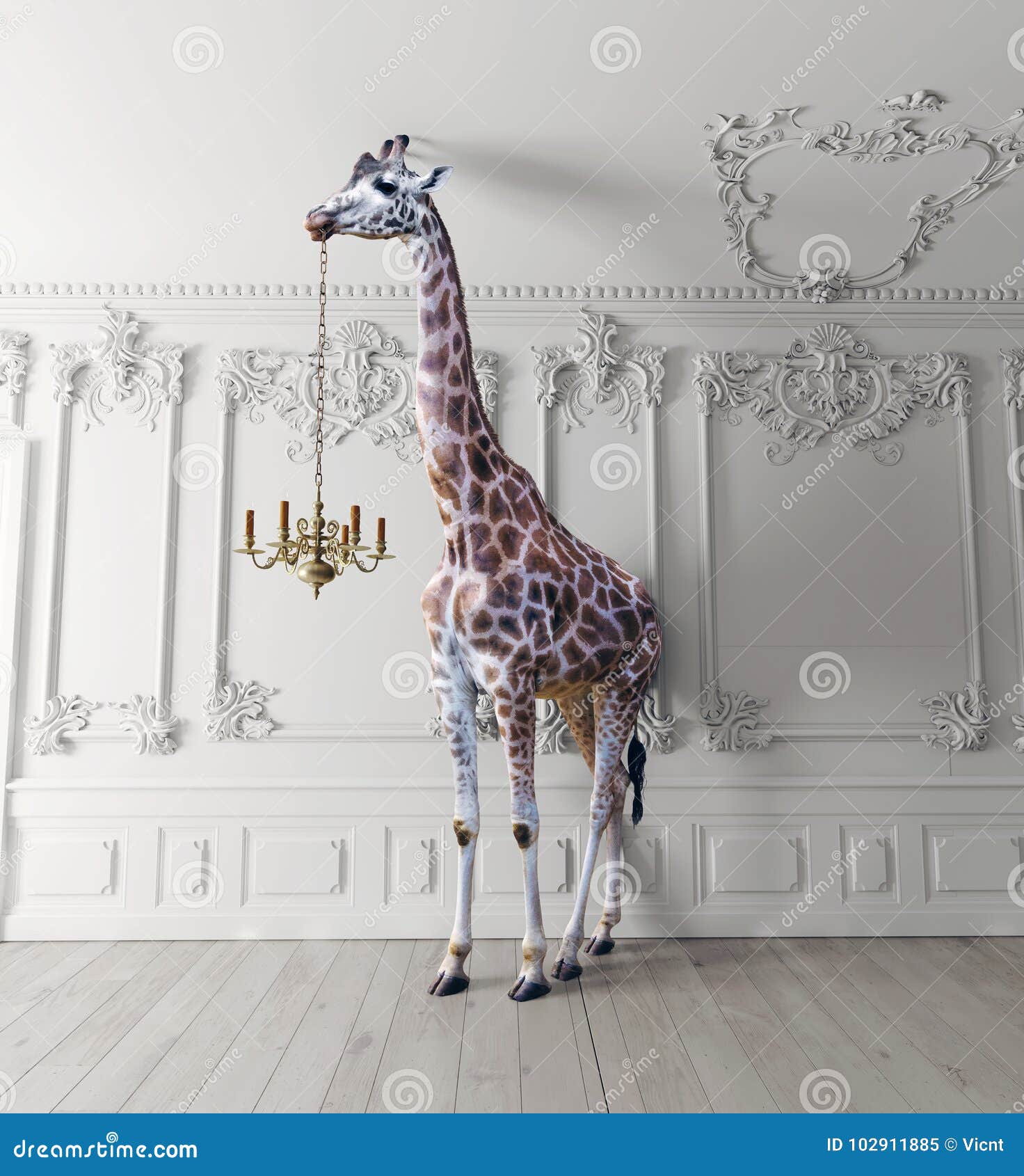 the giraffe hold the chandelier