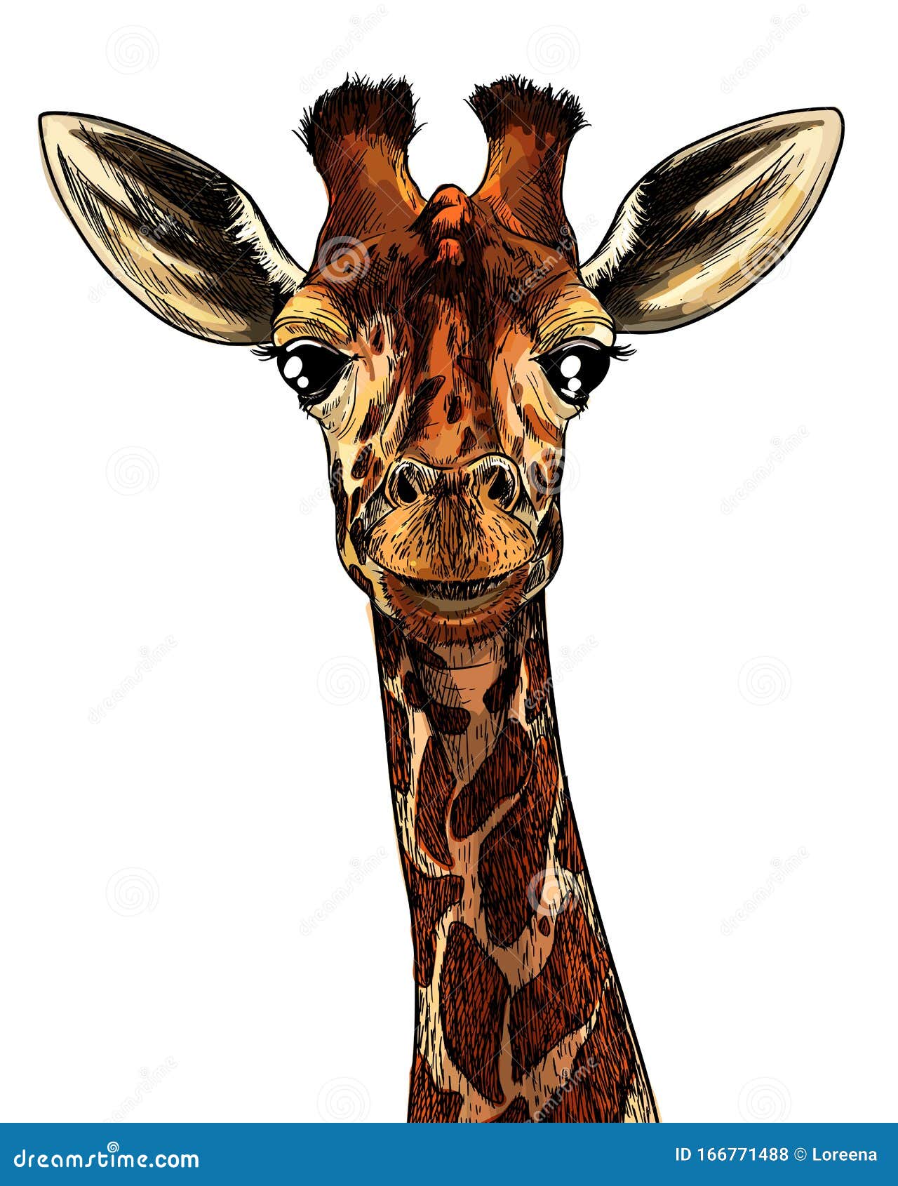 Giraffe-kop, Realistische Volledige Kleurenschets Vector Illustratie - Illustration of neus, 166771488