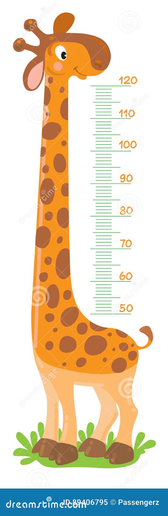 Giraffe Meter Wall Or Height Chart Or Wall Sticker Vector Illustration