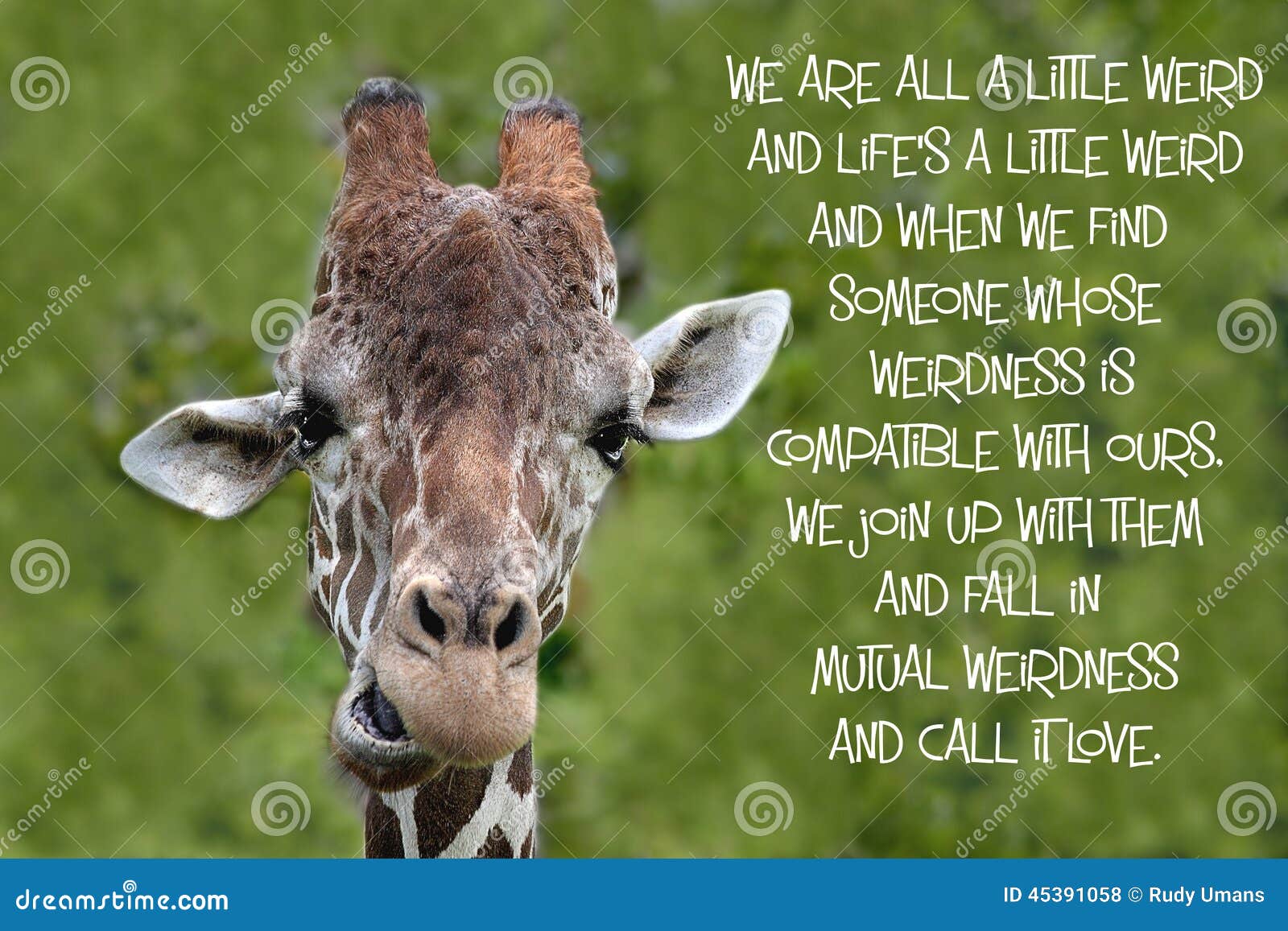 Giraffe quote