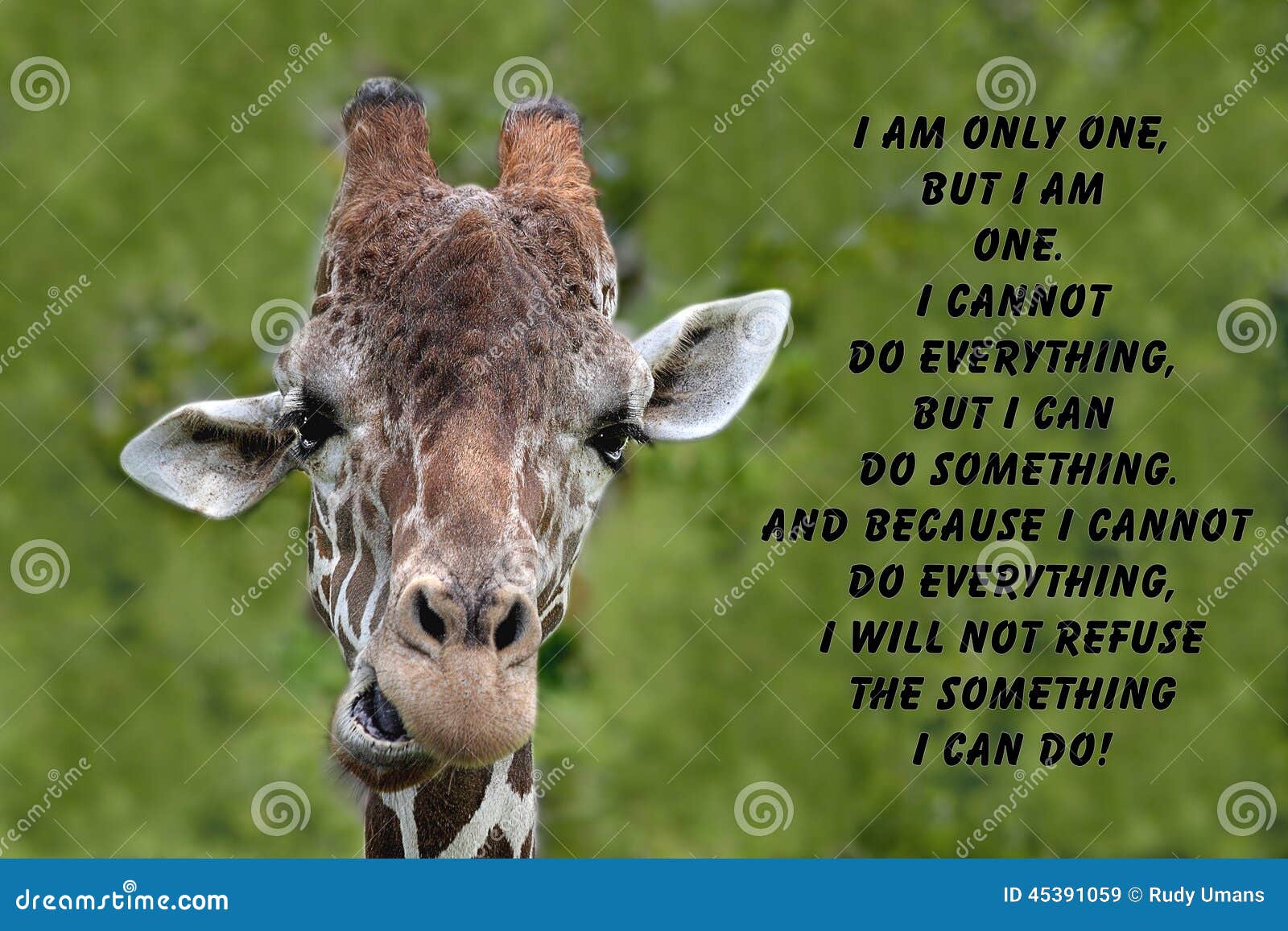 11 Inspirational Quotes With Giraffes Swan Quote