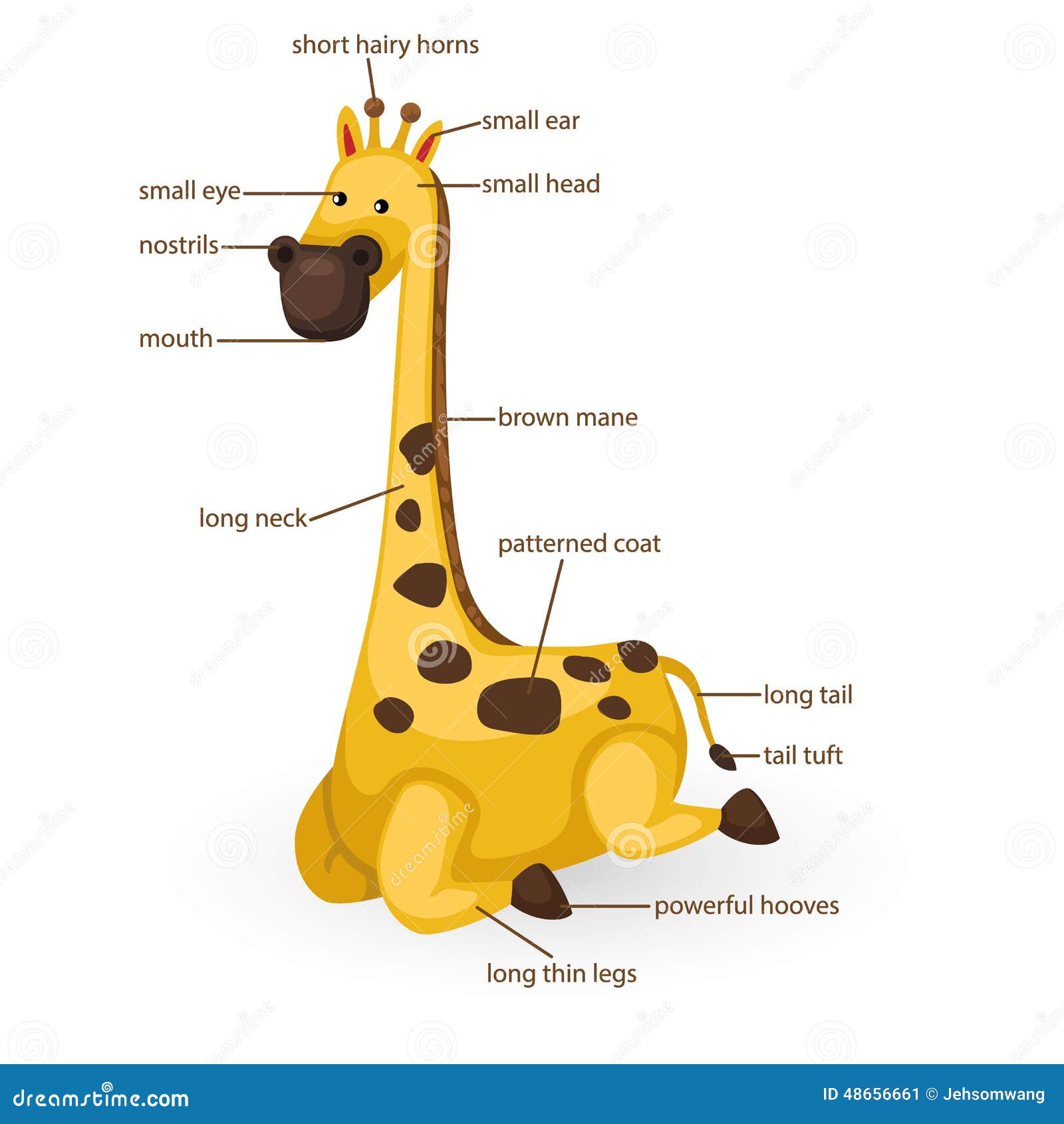 49+ Labeled Parts Of A Giraffe PNG | Diagram Templates