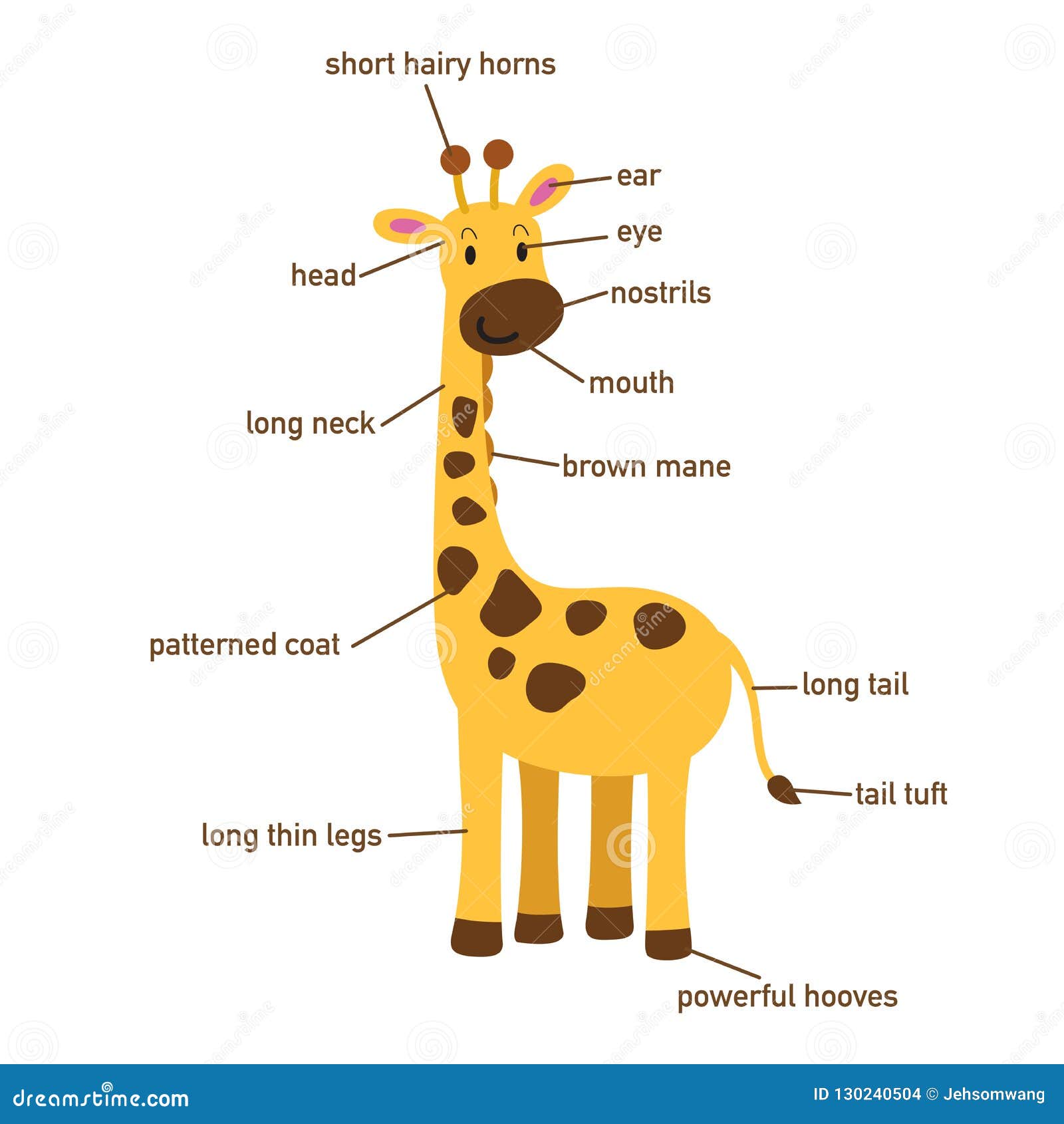 Giraffe Vocabulary Part of Body.vector Stock Vector - Illustration of
