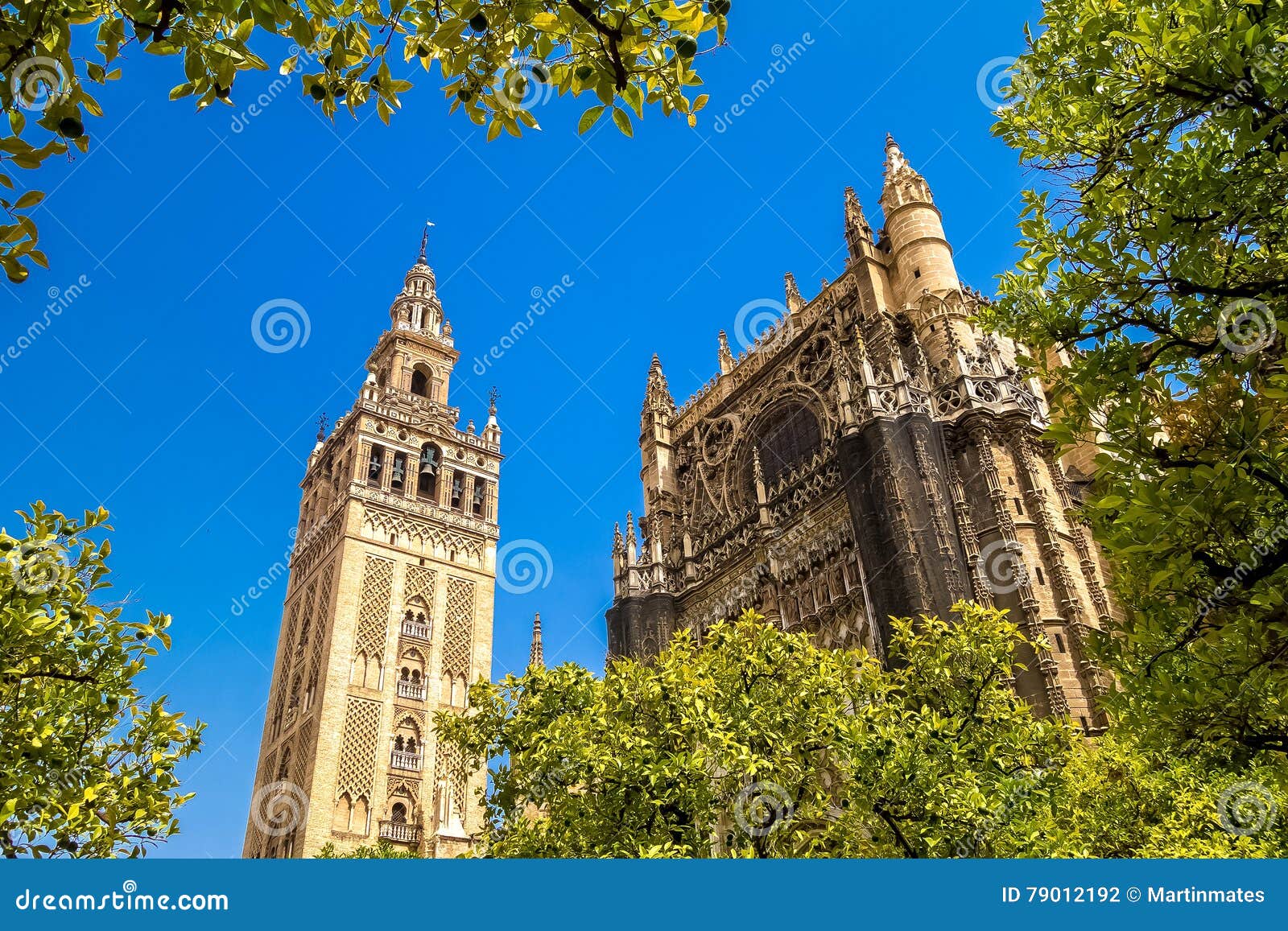 giralda and roof of the sevilla cathedral