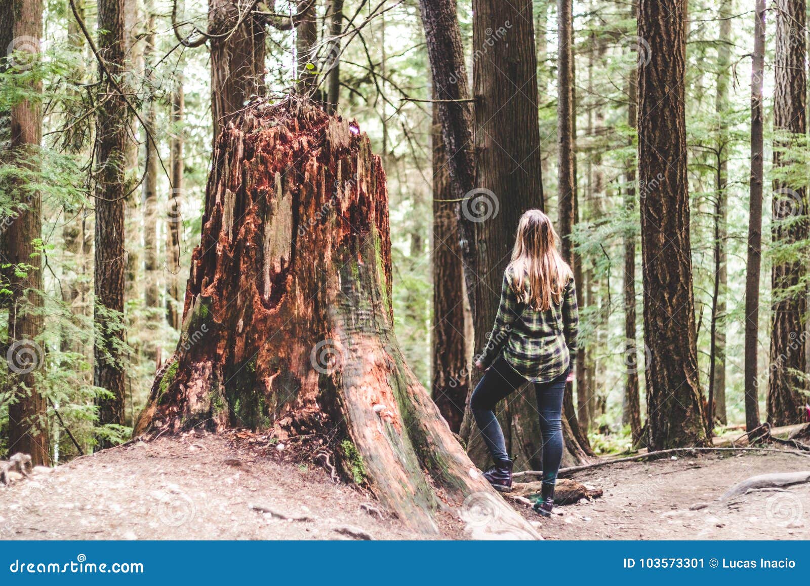 girl at baden powell trail near quarry rock at north vancouver,