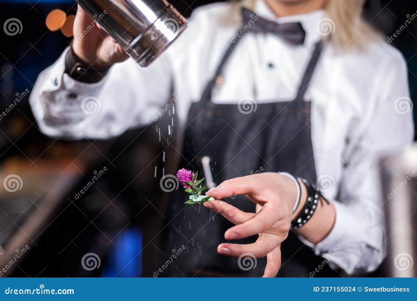 Girl Barman Formulates a Cocktail on the Brasserie Stock Photo - Image ...