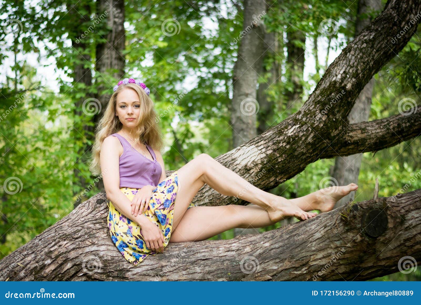 https://thumbs.dreamstime.com/z/girl-beautiful-legs-sitting-tree-girl-beautiful-legs-sitting-tree-any-purpose-172156290.jpg