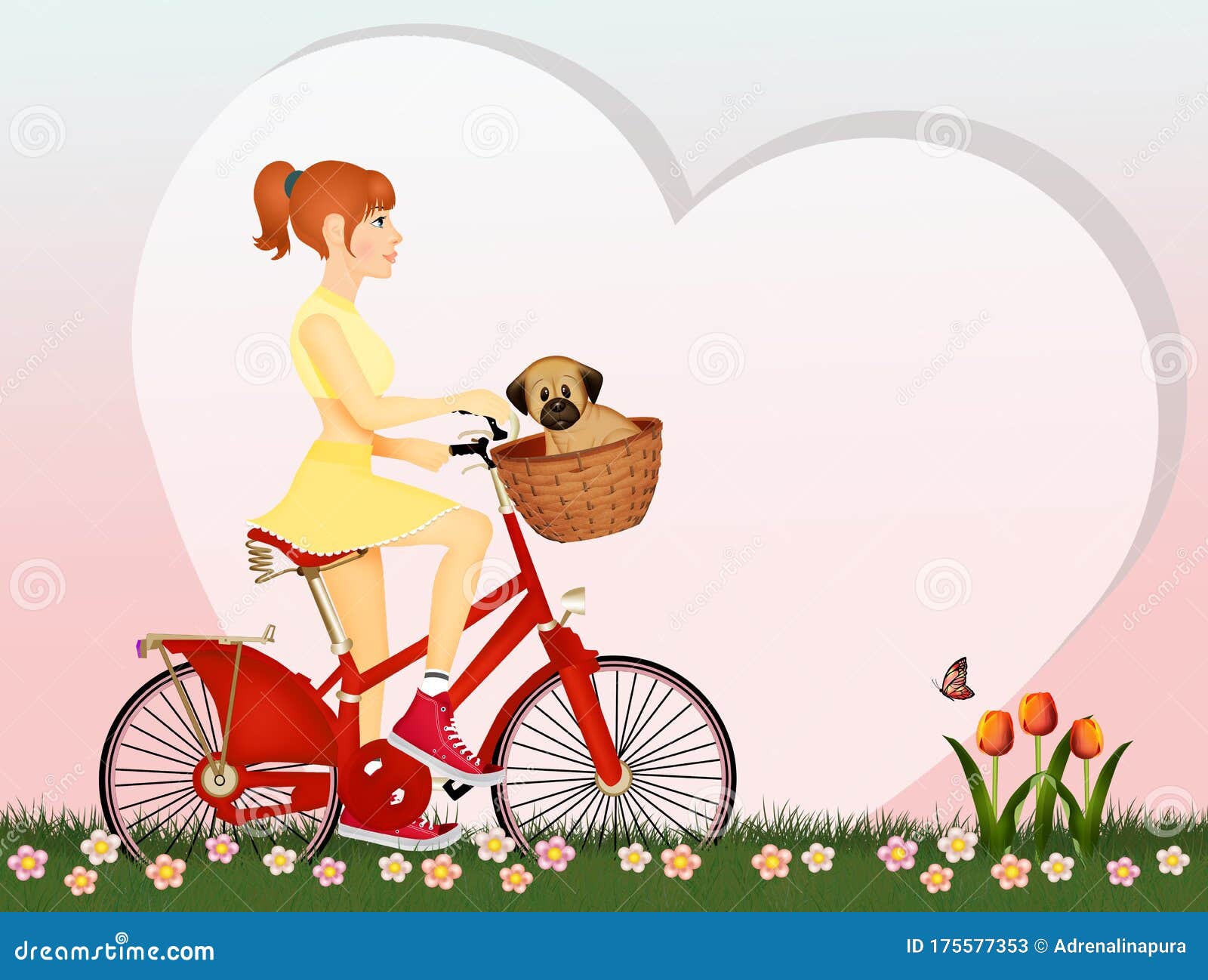 Girl on Bicycle with Cat in Basket Stock Illustration Illustration of
