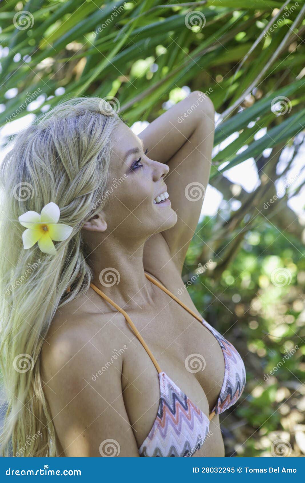 Girl in bikini in a garden stock image. Image of tropics 28032295