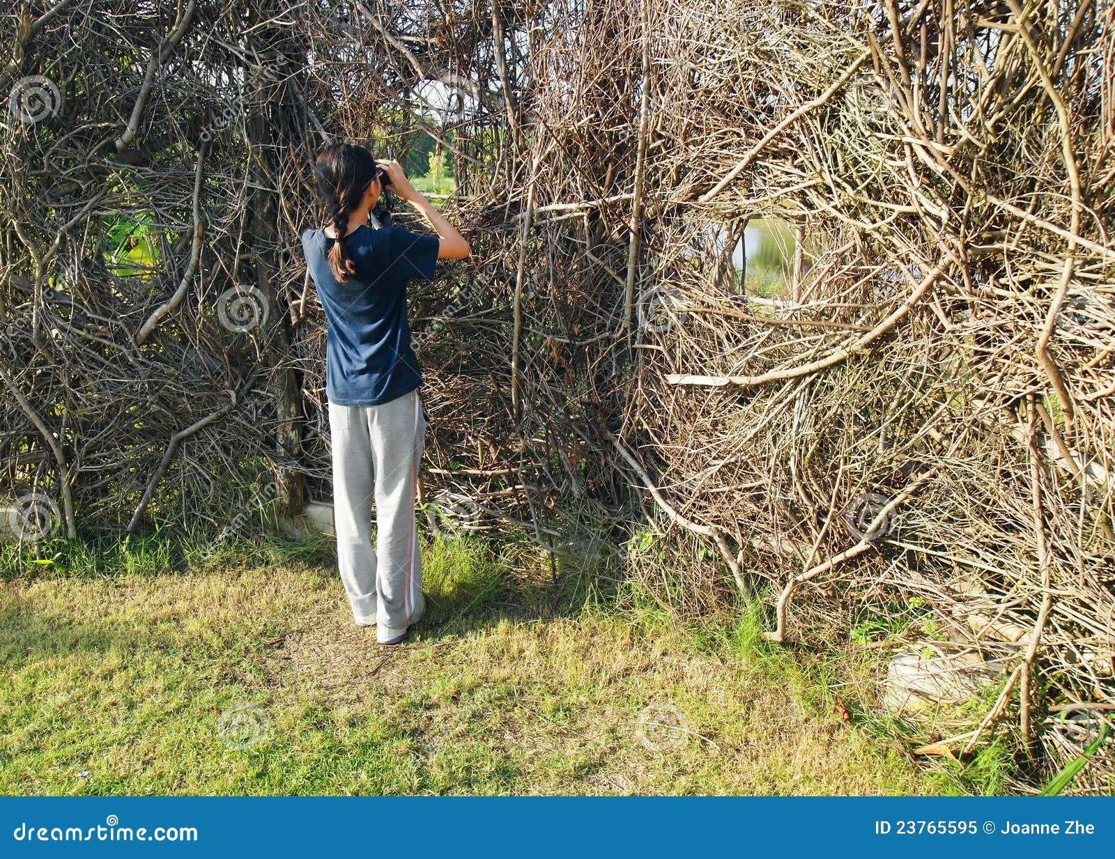 girl in birdwatching activity at nature hide