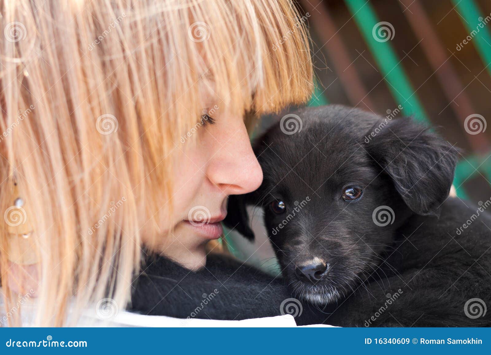 Girl with Black Puppy Outdoor Stock Image - Image of happiness, people ...