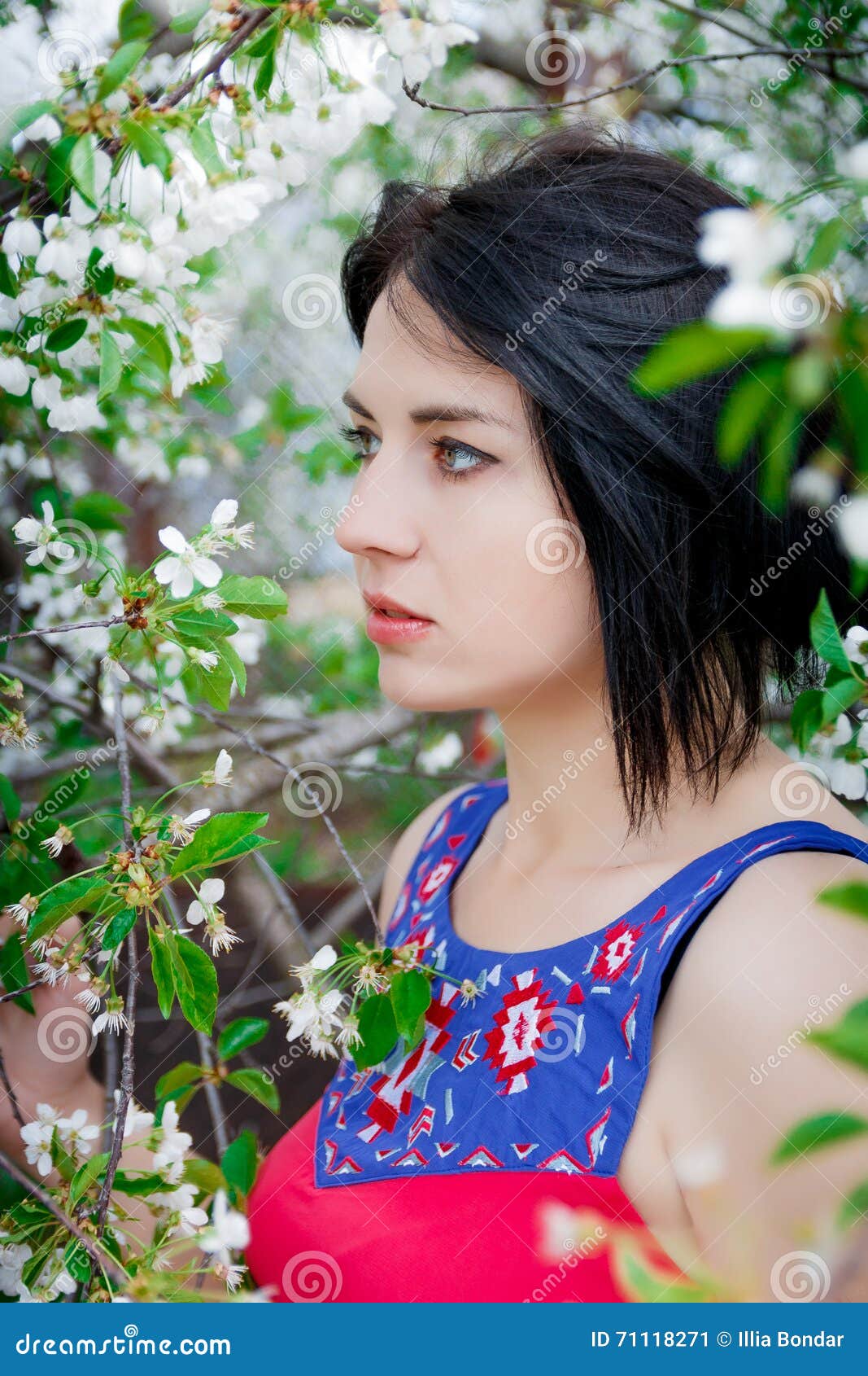 Girl among the Blooming Trees Stock Image - Image of blooming, fashion ...