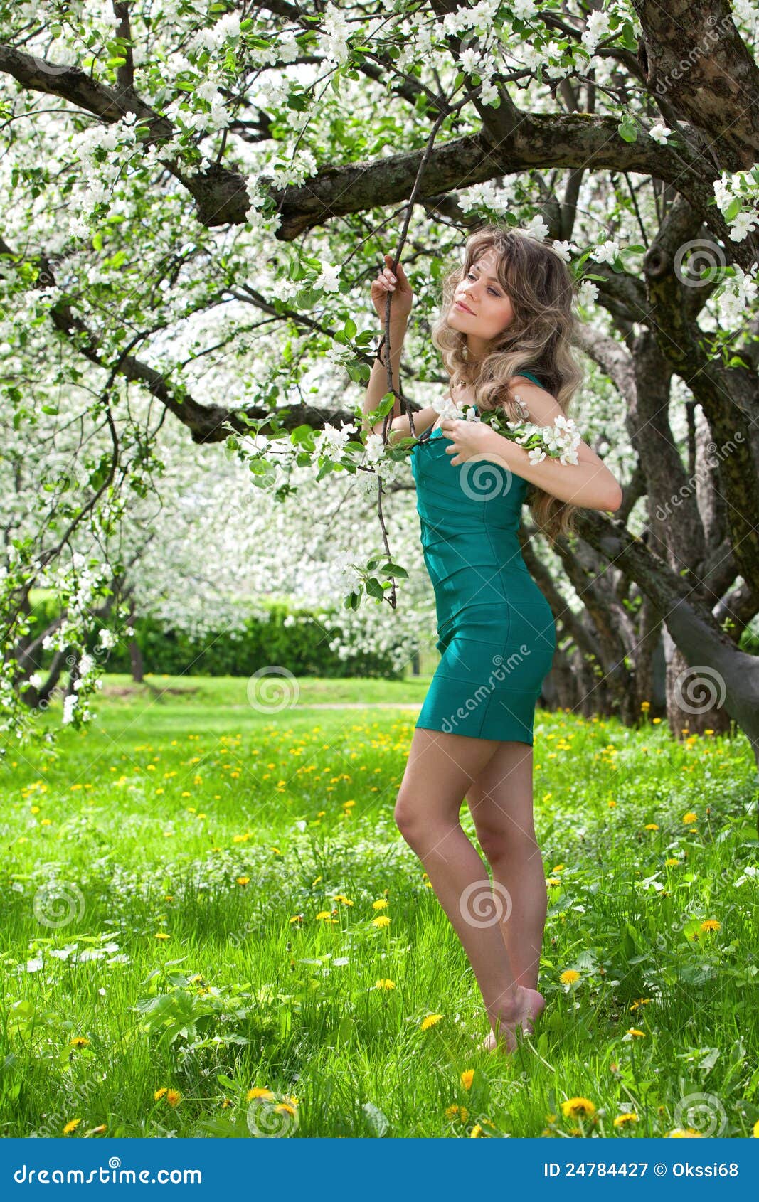 Girl In The Blossoming Garden Stock Image Image Of Woman Leaves 24784427