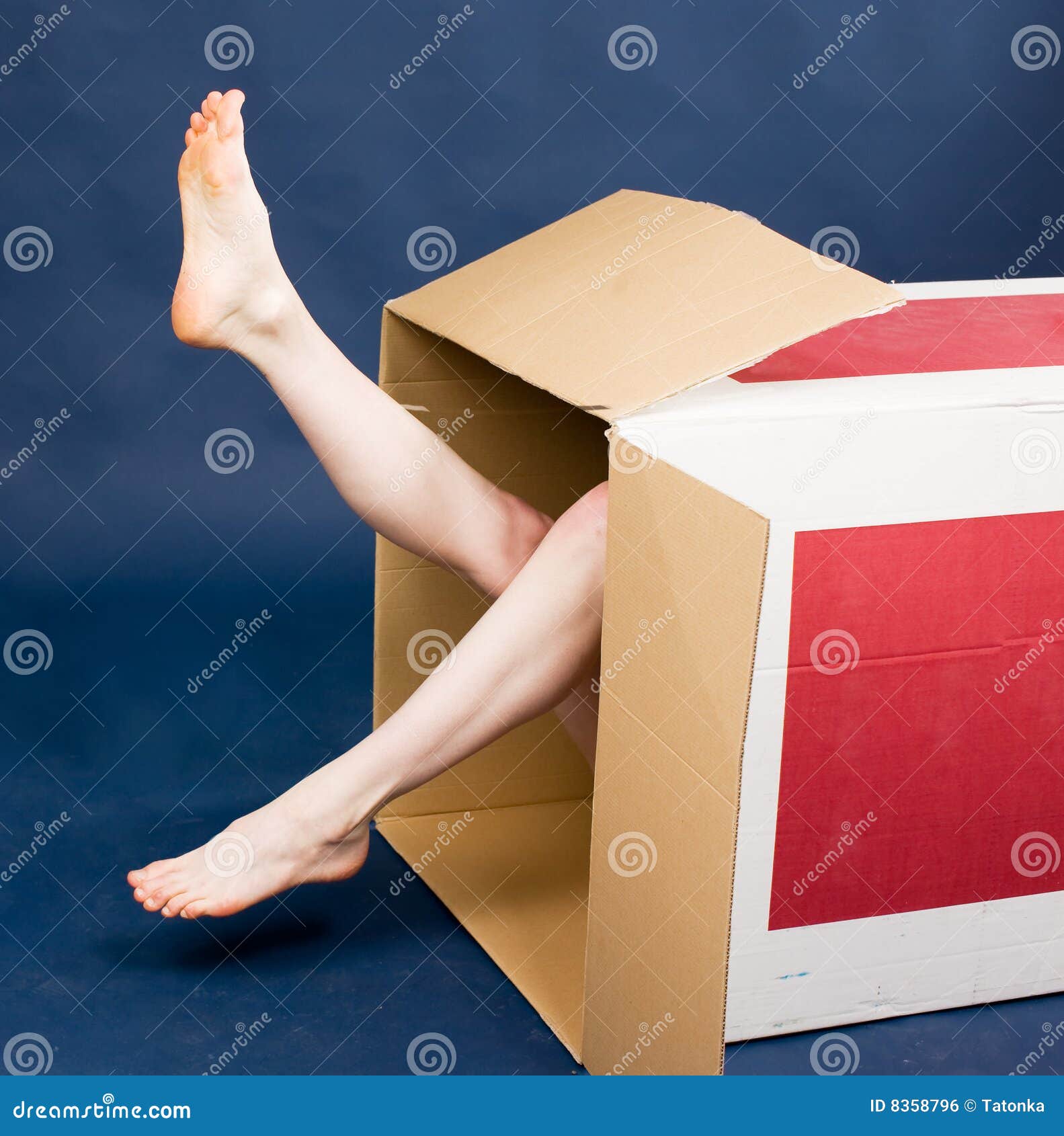 Girl in box stock photo. Image of foot, pale, container 8358796