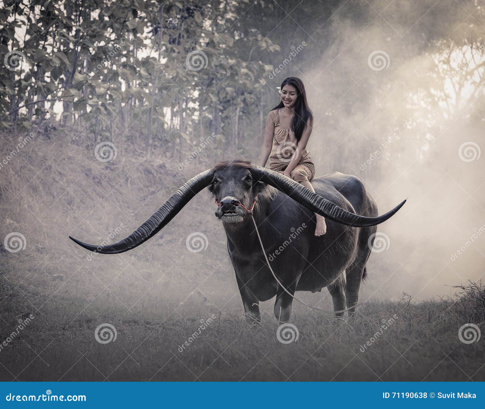 The girl with Buffalo stock photo. Image of green, cheerful 71190638