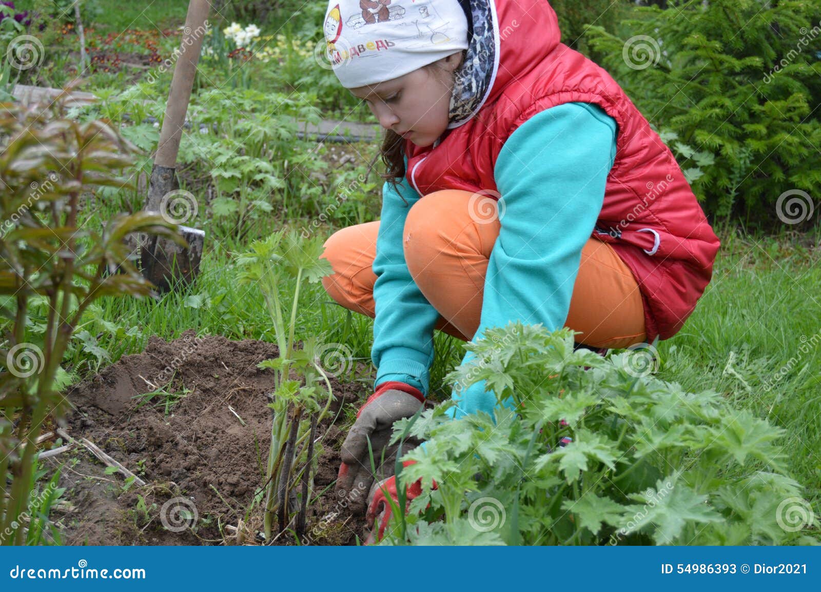 Girl caring for flowers stock image. Image of flowerbed 54986393