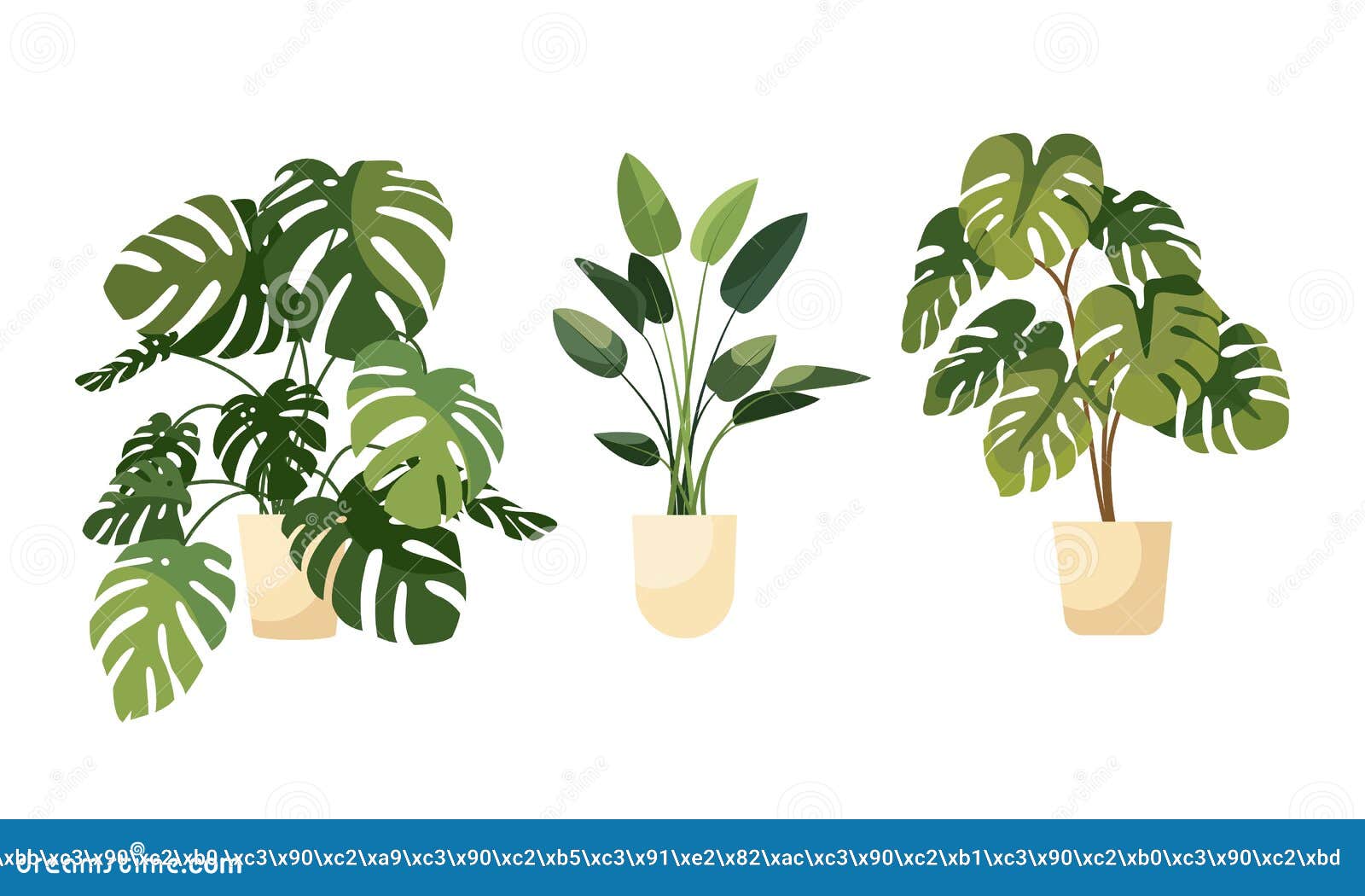 A Greenhouse For Growing Vegetables With Hydroponics Stock Photography a-greenhouse-for-growing-vegetables-with-hydroponics-stock-photography