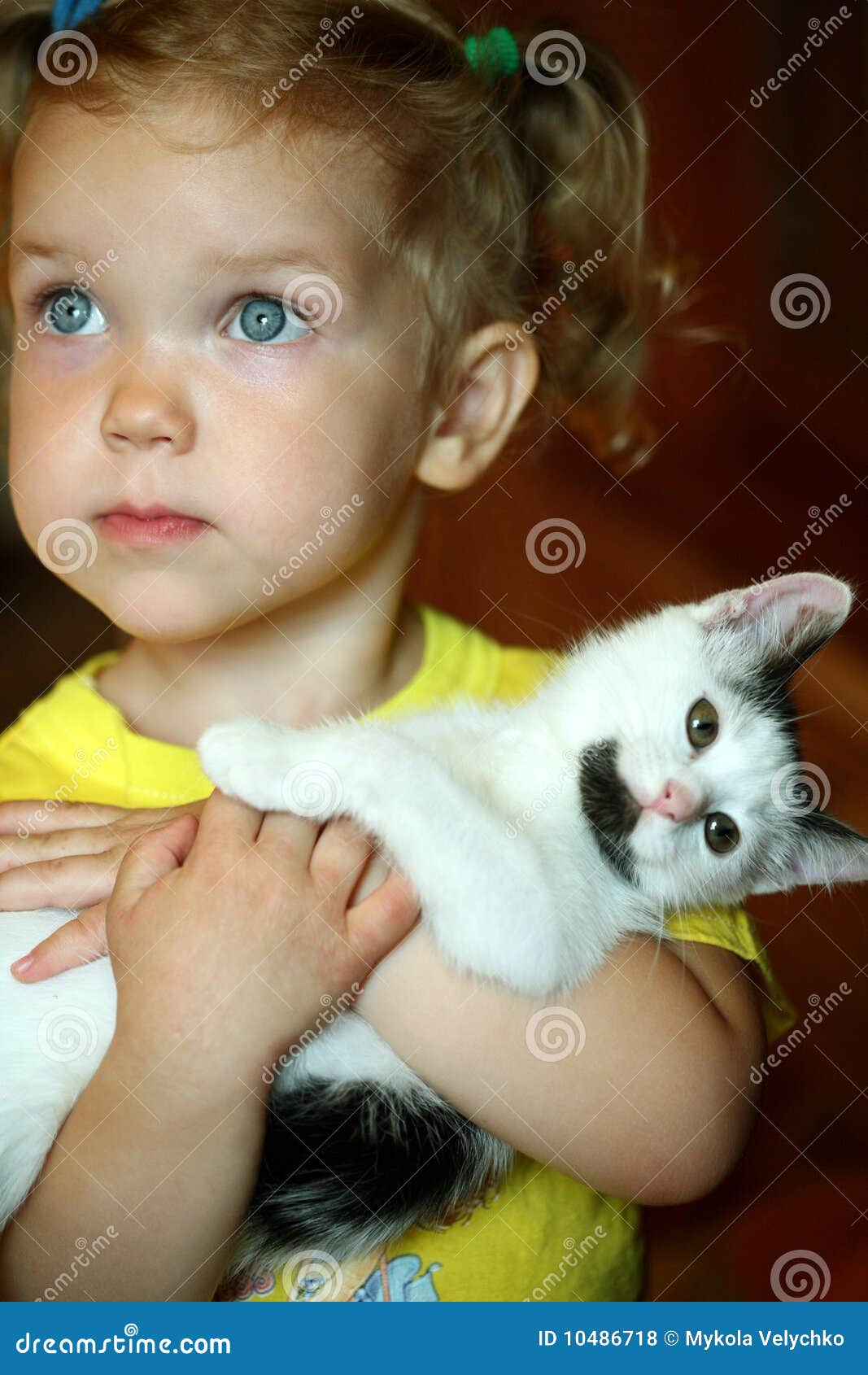 Girl and cat stock photo. Image of friendship, look, nice 10486718