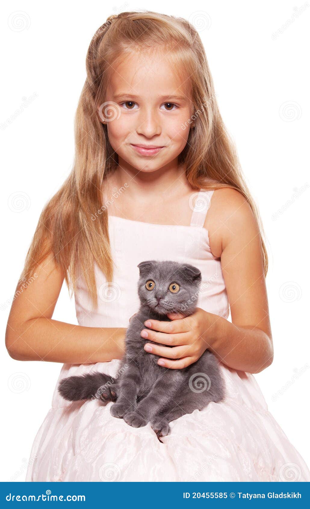 Girl with cat stock image. Image of smiling, girl, gray 20455585