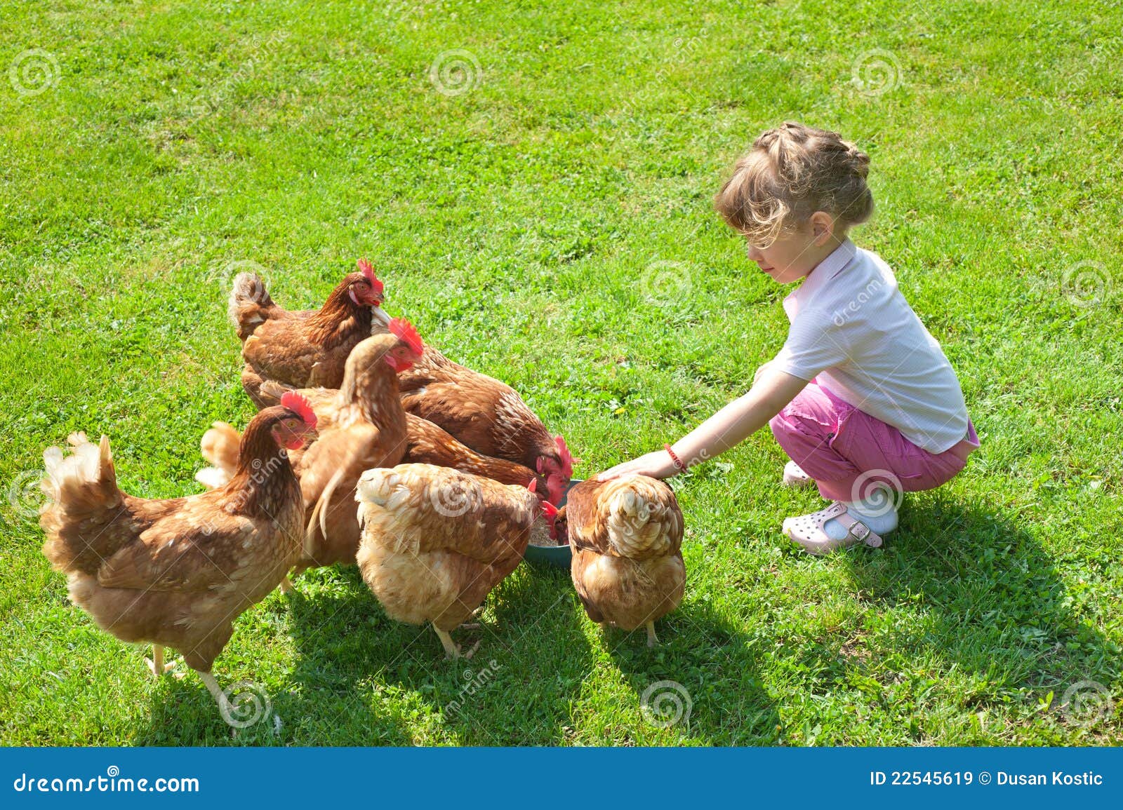 Girl and chickens stock image. Image of scene, nature 22545619