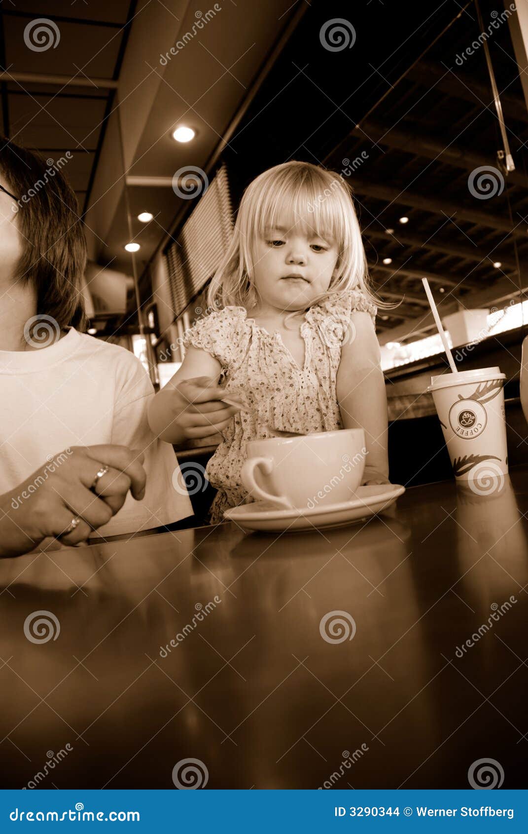 The Girl In The Coffee Shop by Jody Cobalt The Girl In The Coffee Shop by Jody Cobalt