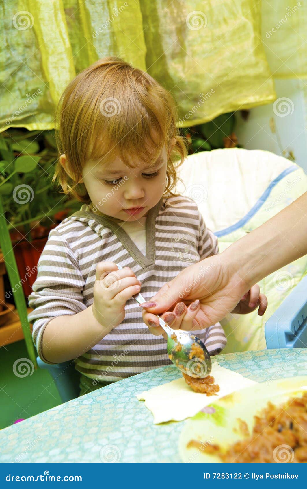 Girl the Cook Pie from Apples Stock Photo Image of childhood, female 7283122