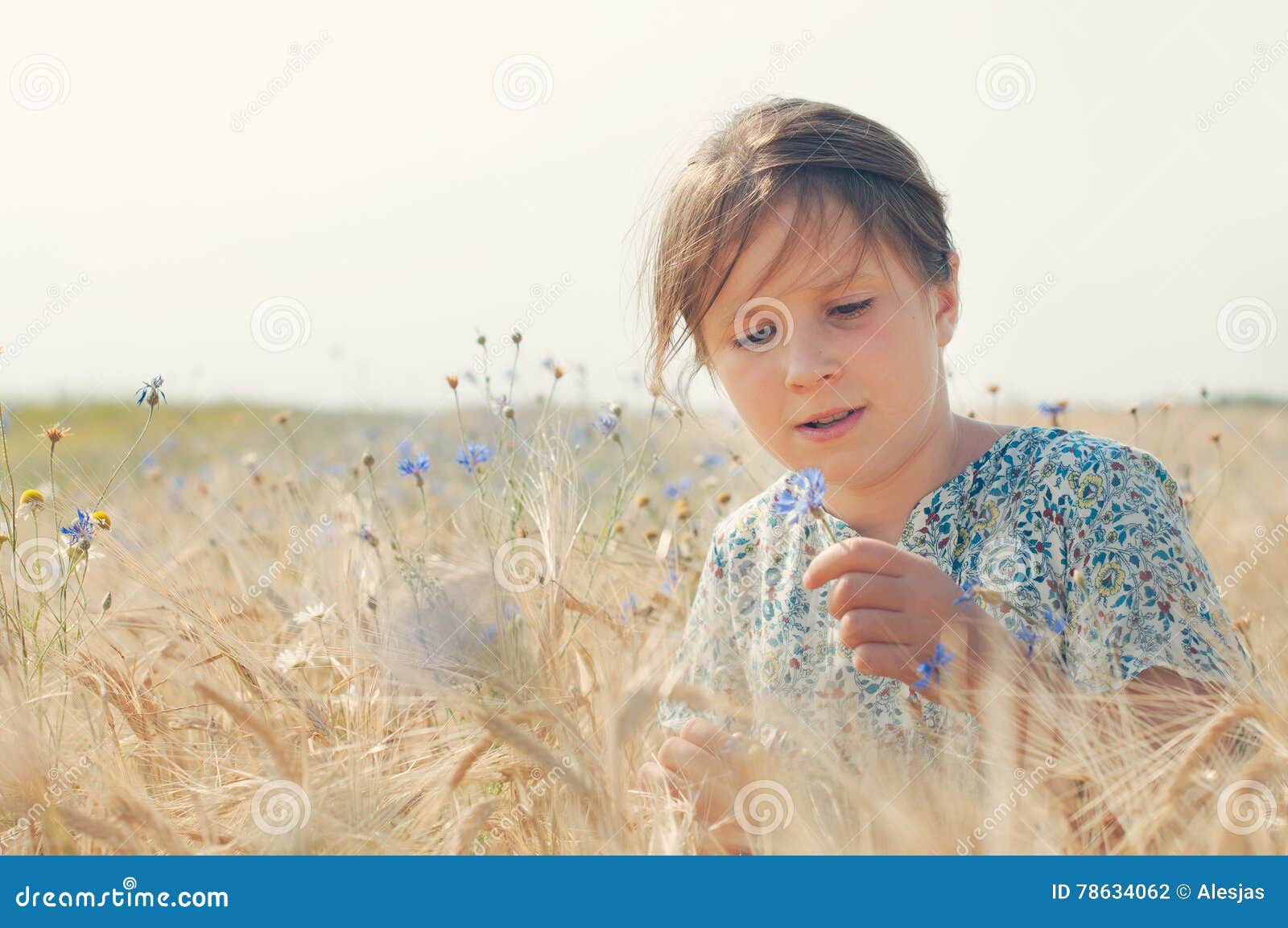 Girl with a cornflower stock photo. Image of girl, child 78634062