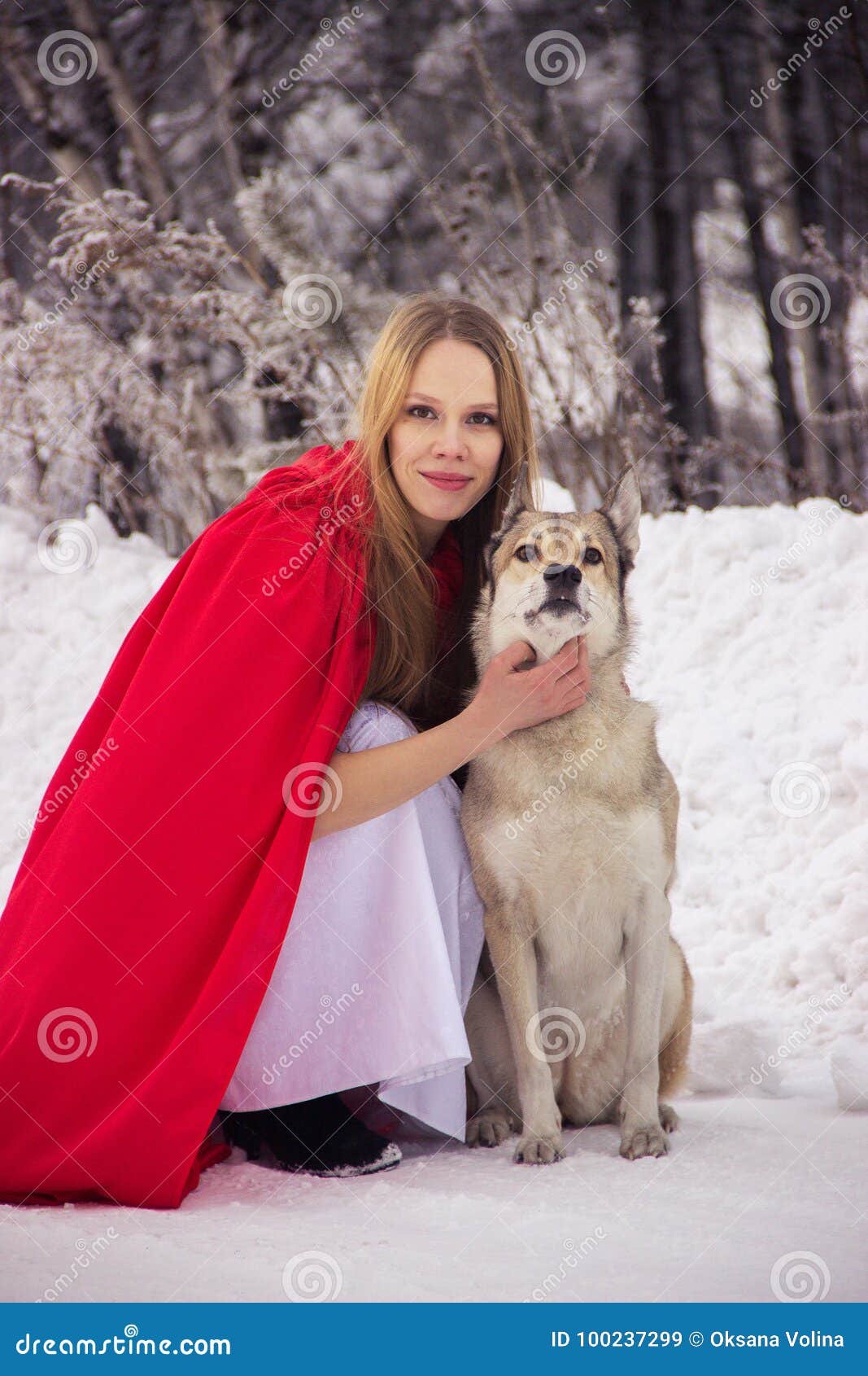 Girl in Little Red Riding Hood with Dog Like a Wolf Stock Image - Image of fashion, outdoor: 100237299
