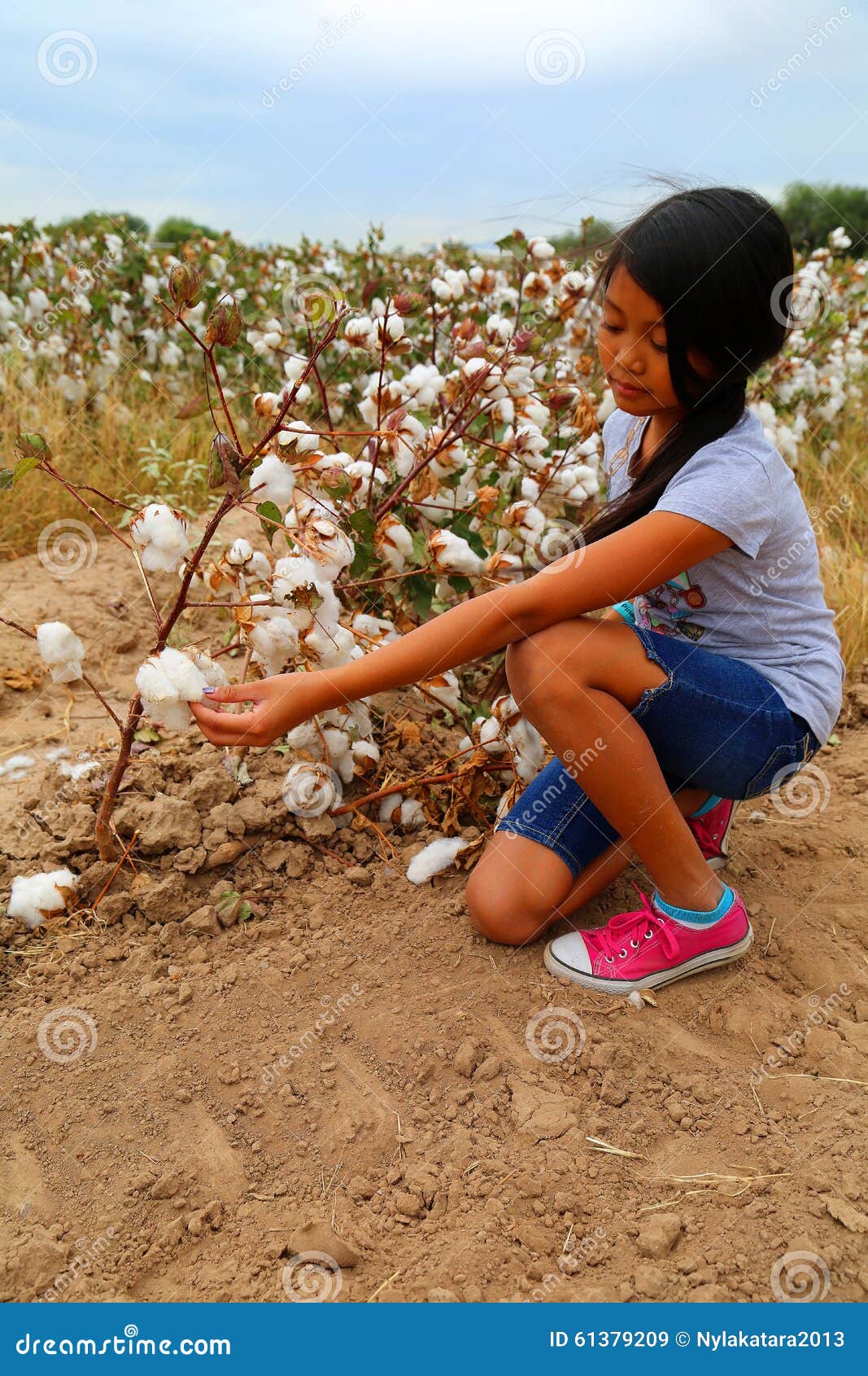 Girl cotton stock image. Image of peeled, labor, downy 61379209