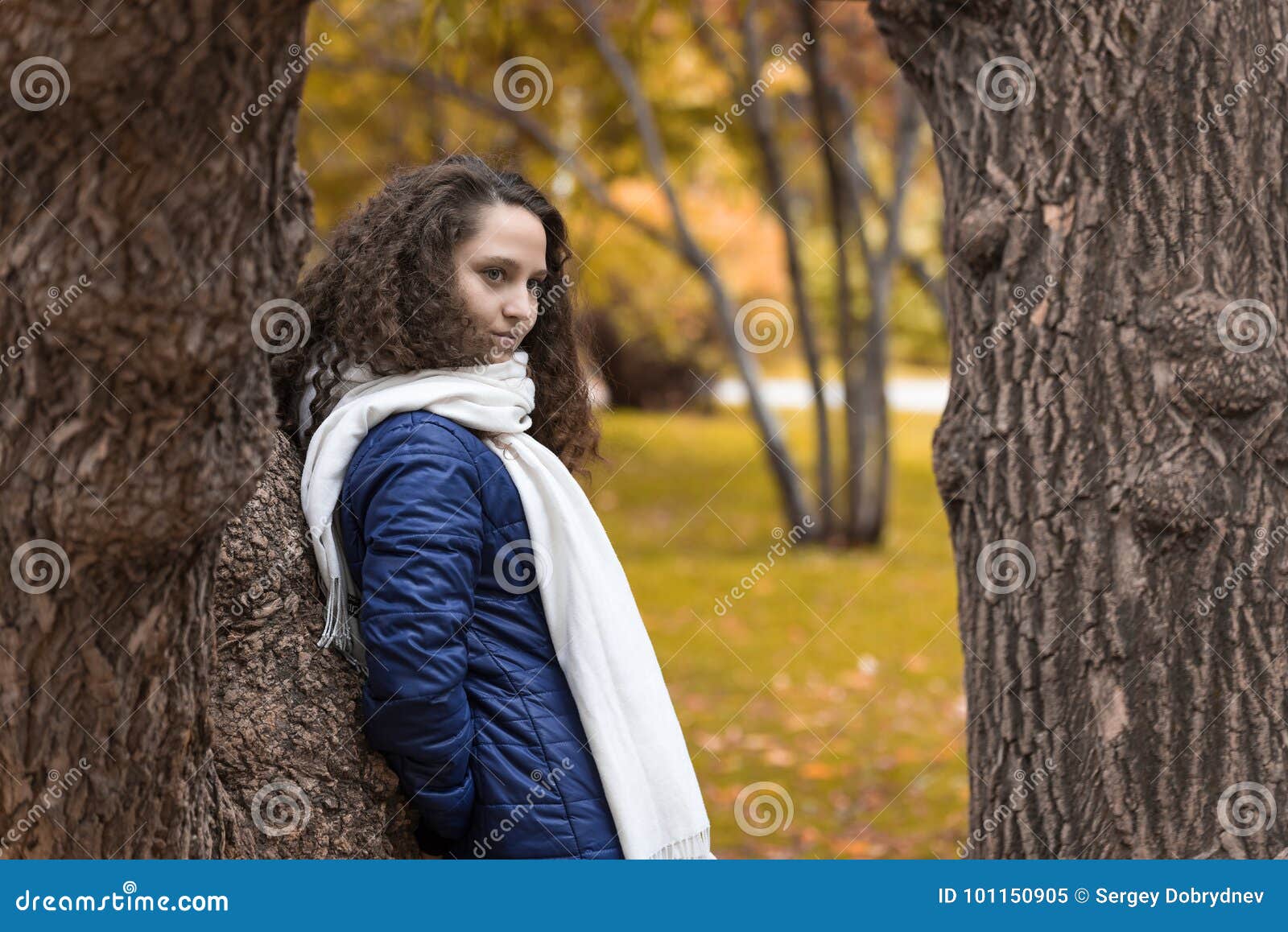 Girl with Curly Hair at a Tree Trunk in an Autumn Park Stock Image ...