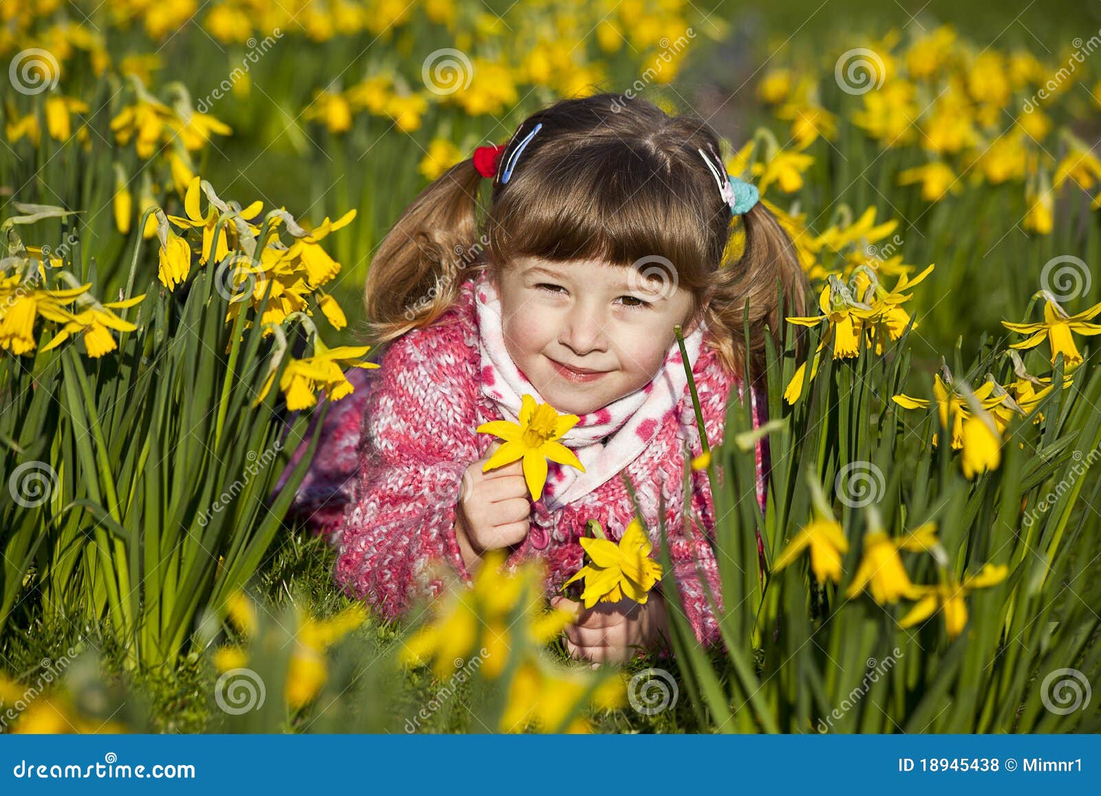 Girl and daffodils stock photo. Image of flower, floral 18945438