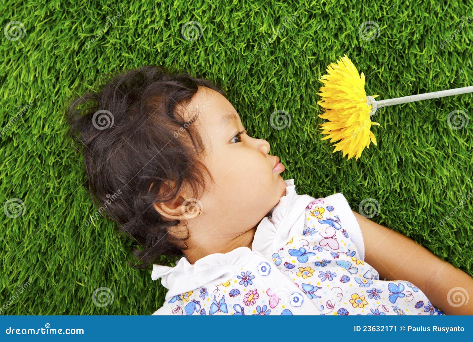 Girl with daisy flower stock image. Image of blossom - 23632171