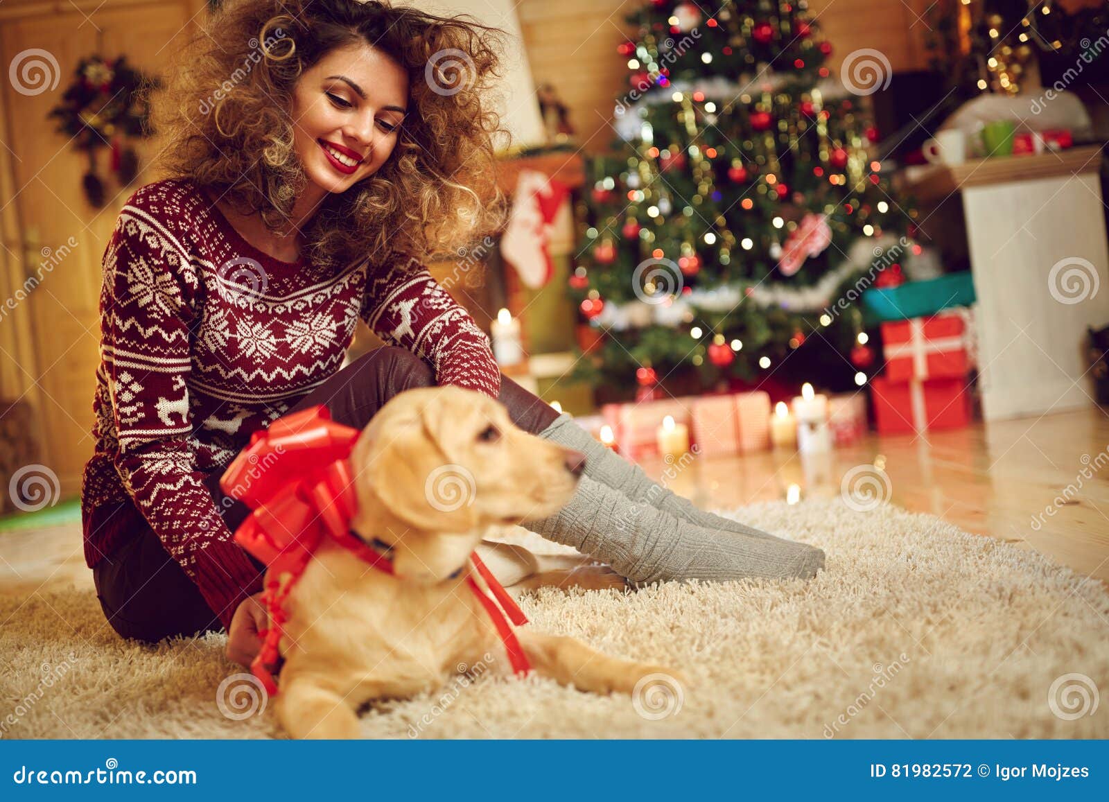 Girl with Dog As Xmas Gift at Home Stock Photo - Image of christmas ...