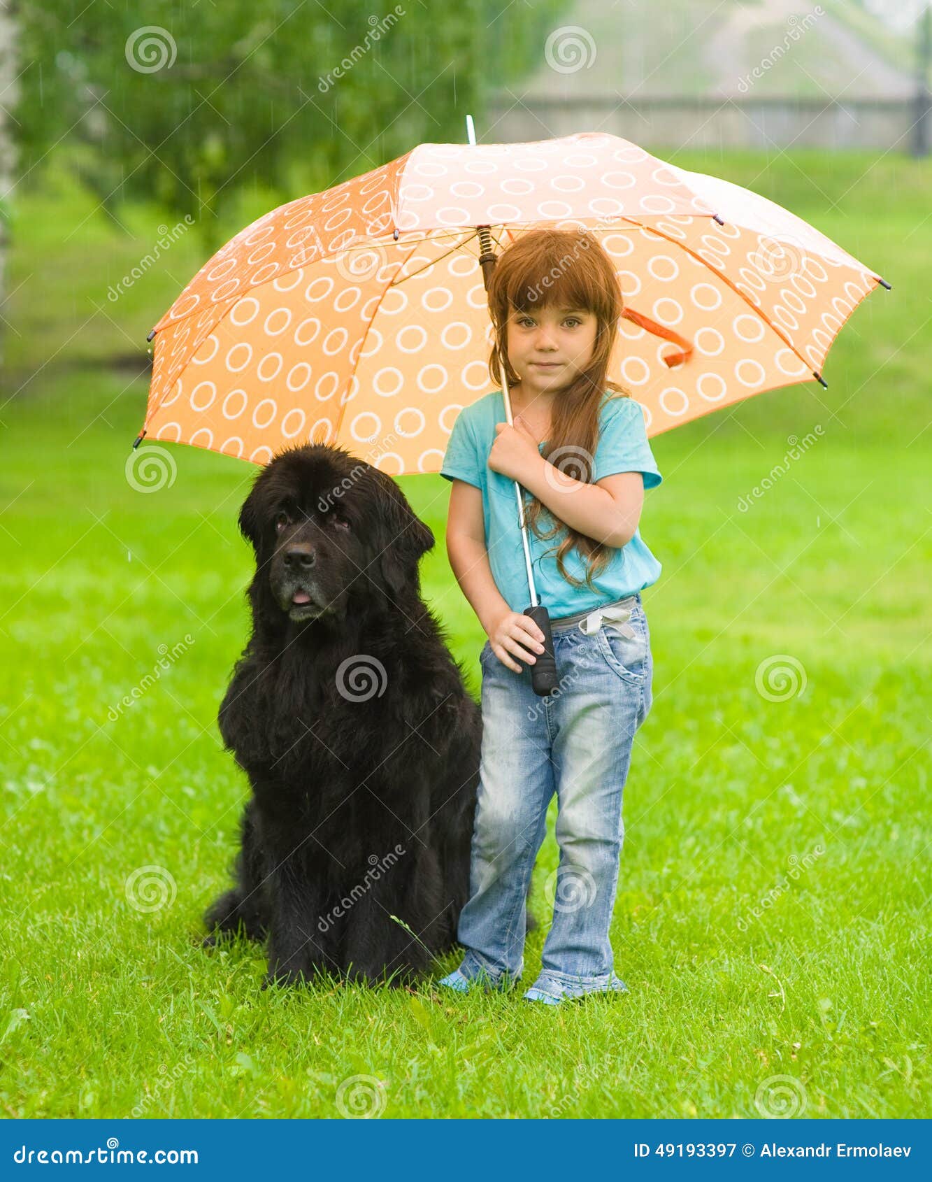 The Girl with the Dog Under an Umbrella Stock Image Image of girl