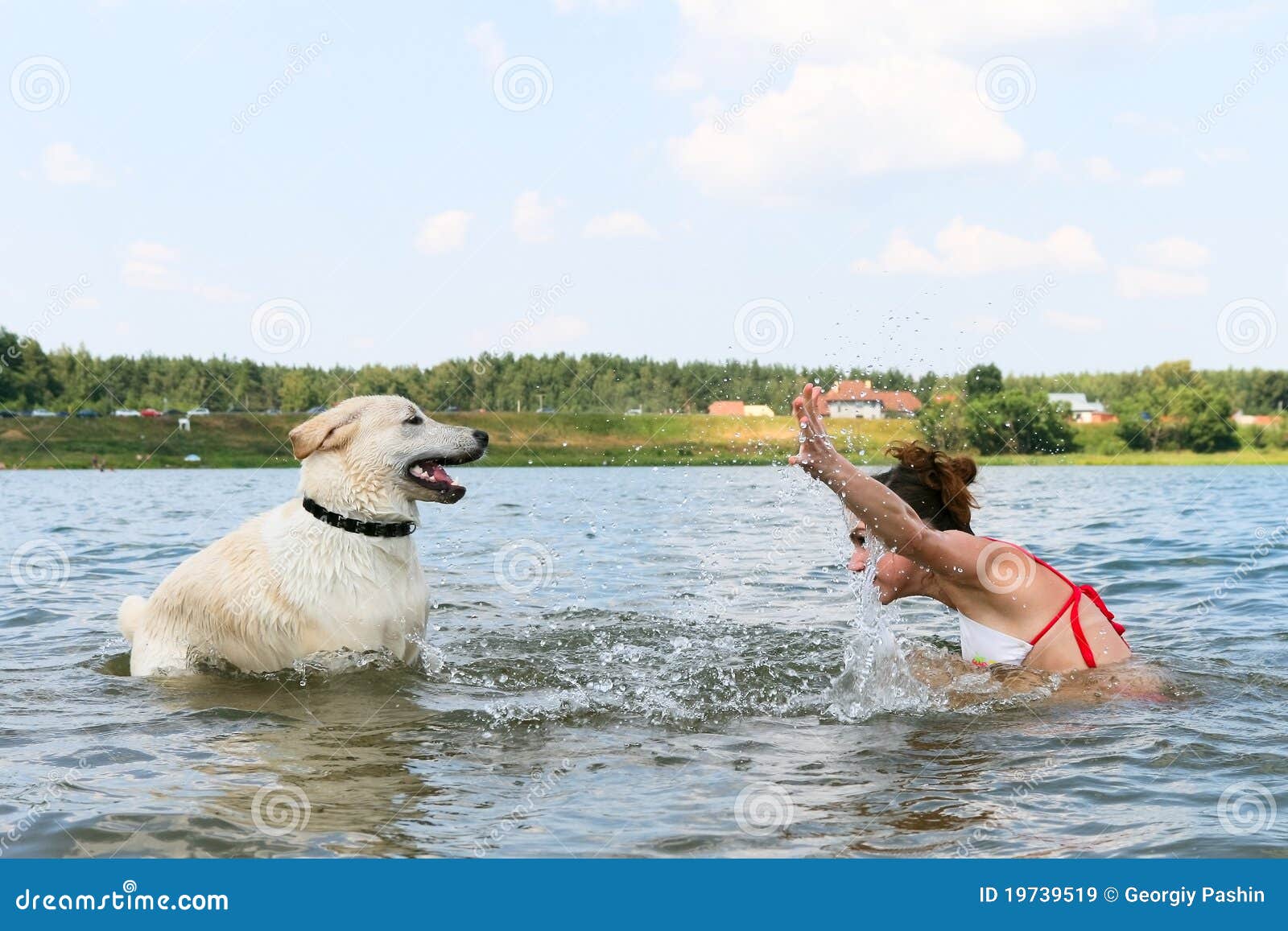 Girl with dog in water stock image. Image of retriever 19739519