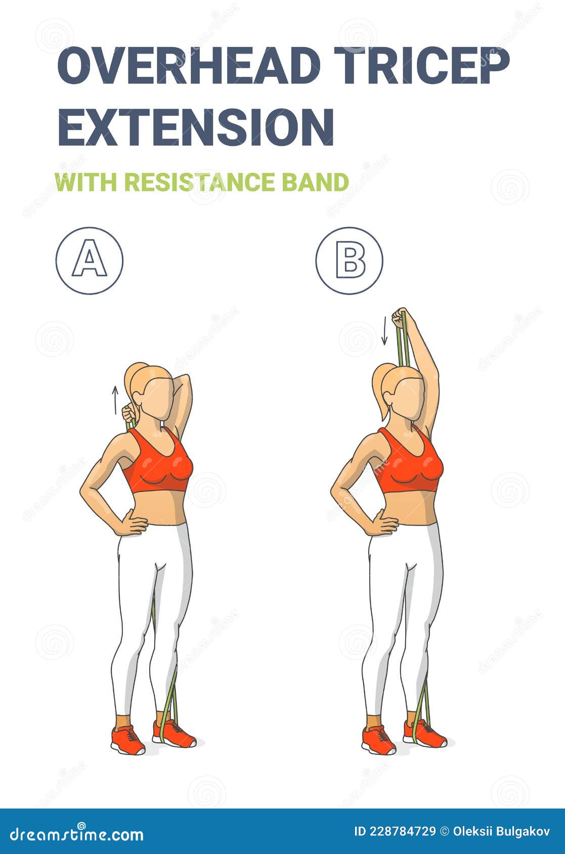 Woman doing dumbbell triceps extension exercise Vector Image