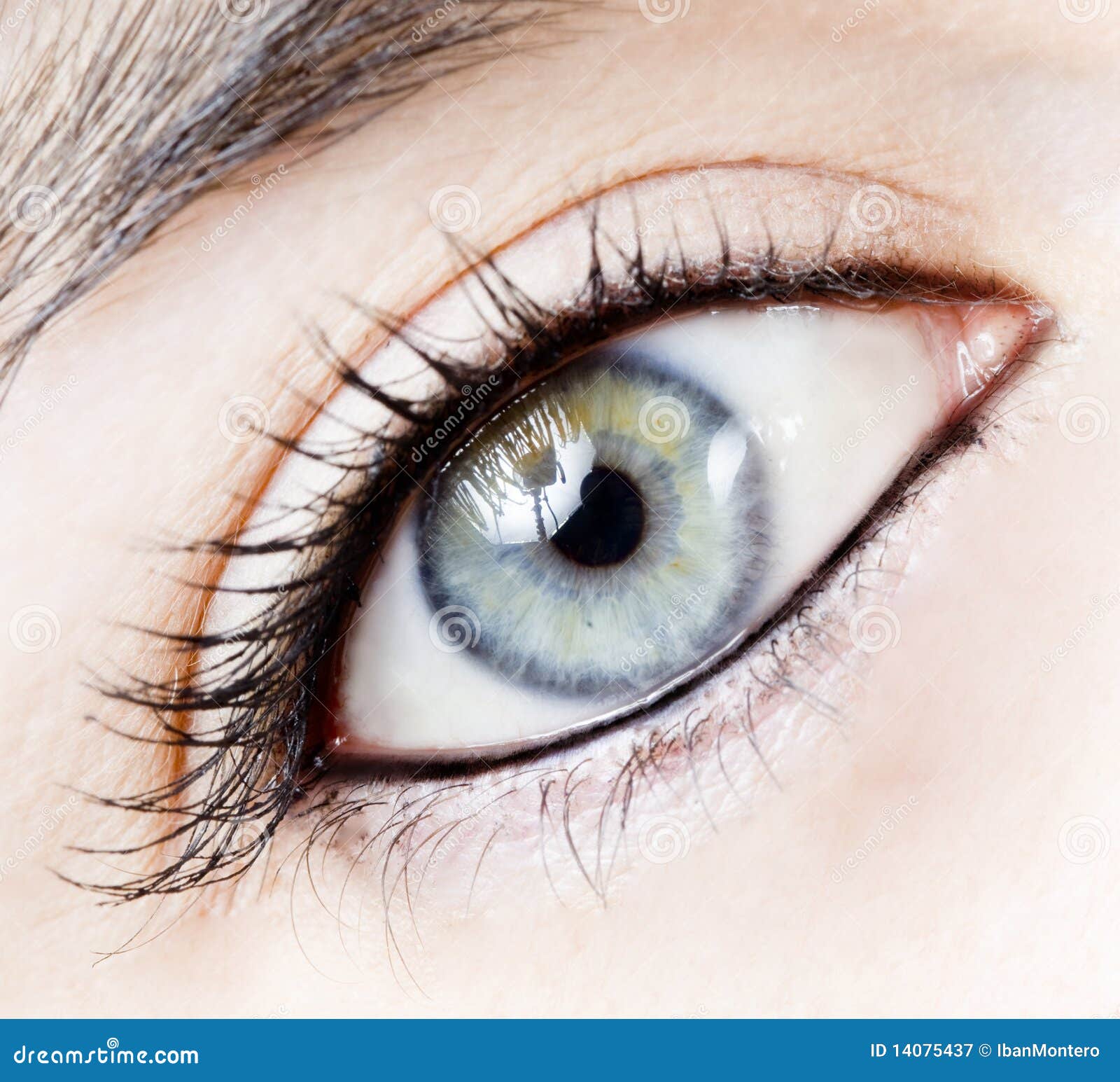 Girl eye stock image. Image of optical, eyelid, optician 14075437